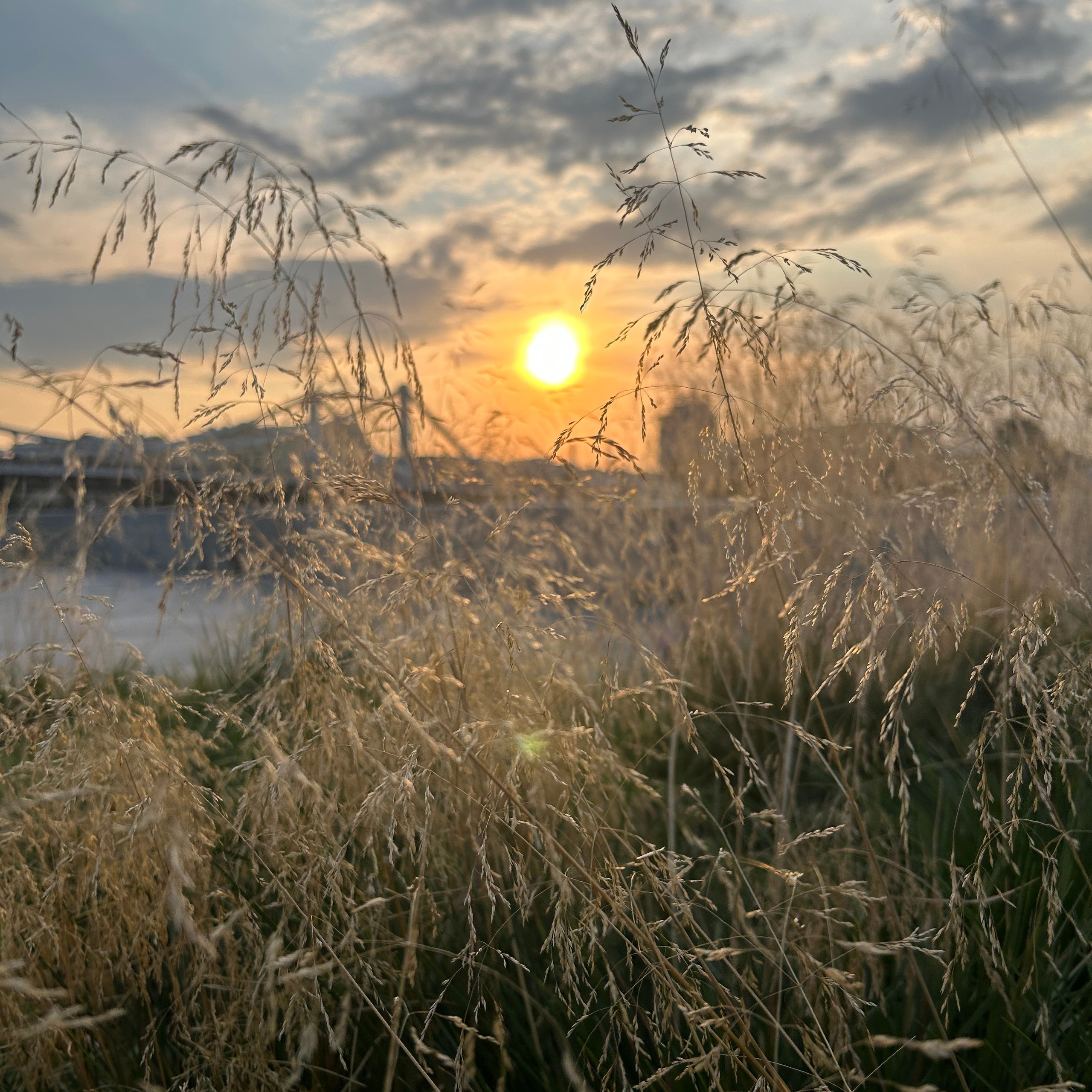 Отзывы с сайта. Семейный и свадебный фотограф Адыгея Краснодар