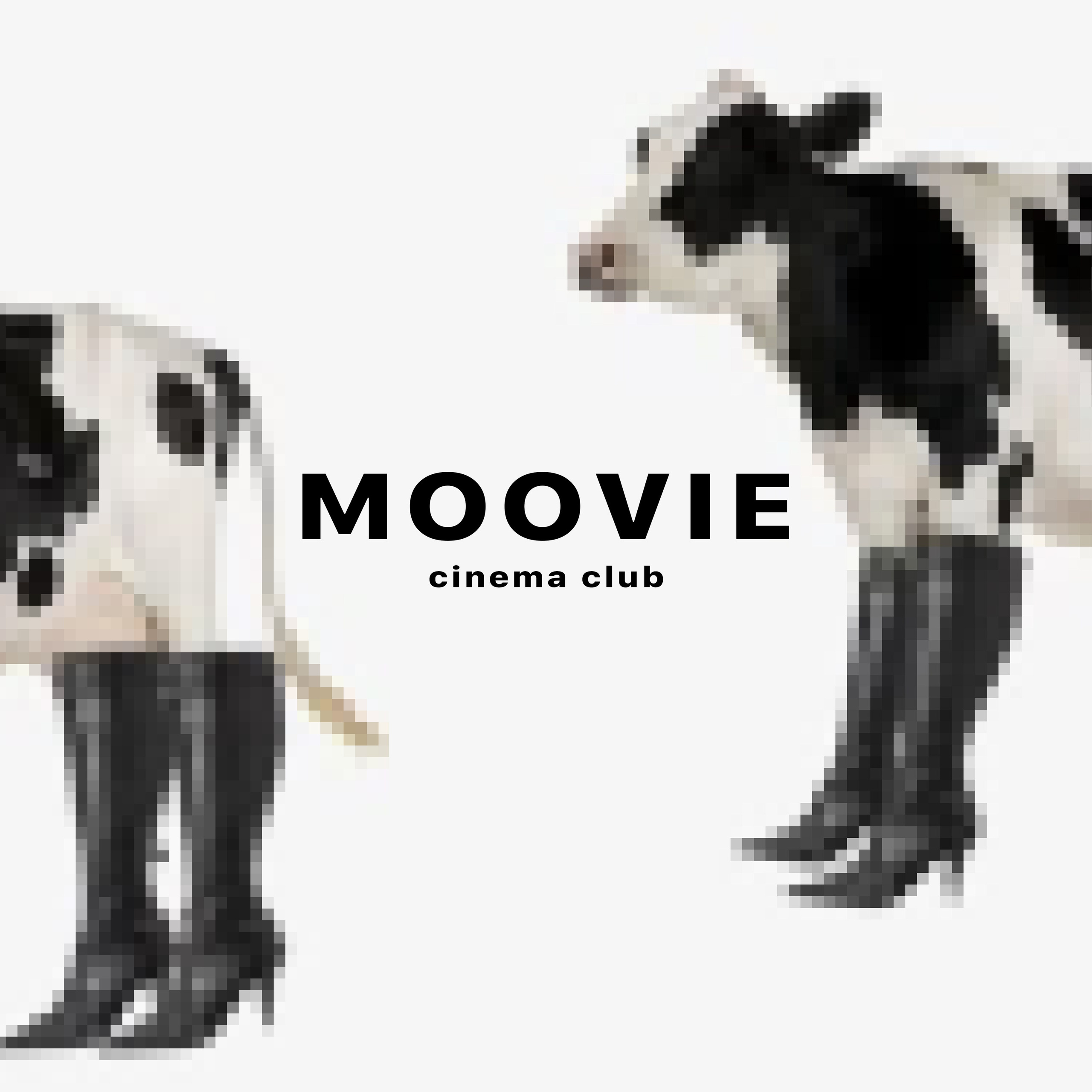 Posters «witches cinema club». Я — Мария, фотограф/фотохудожник в Санкт-Петербурге