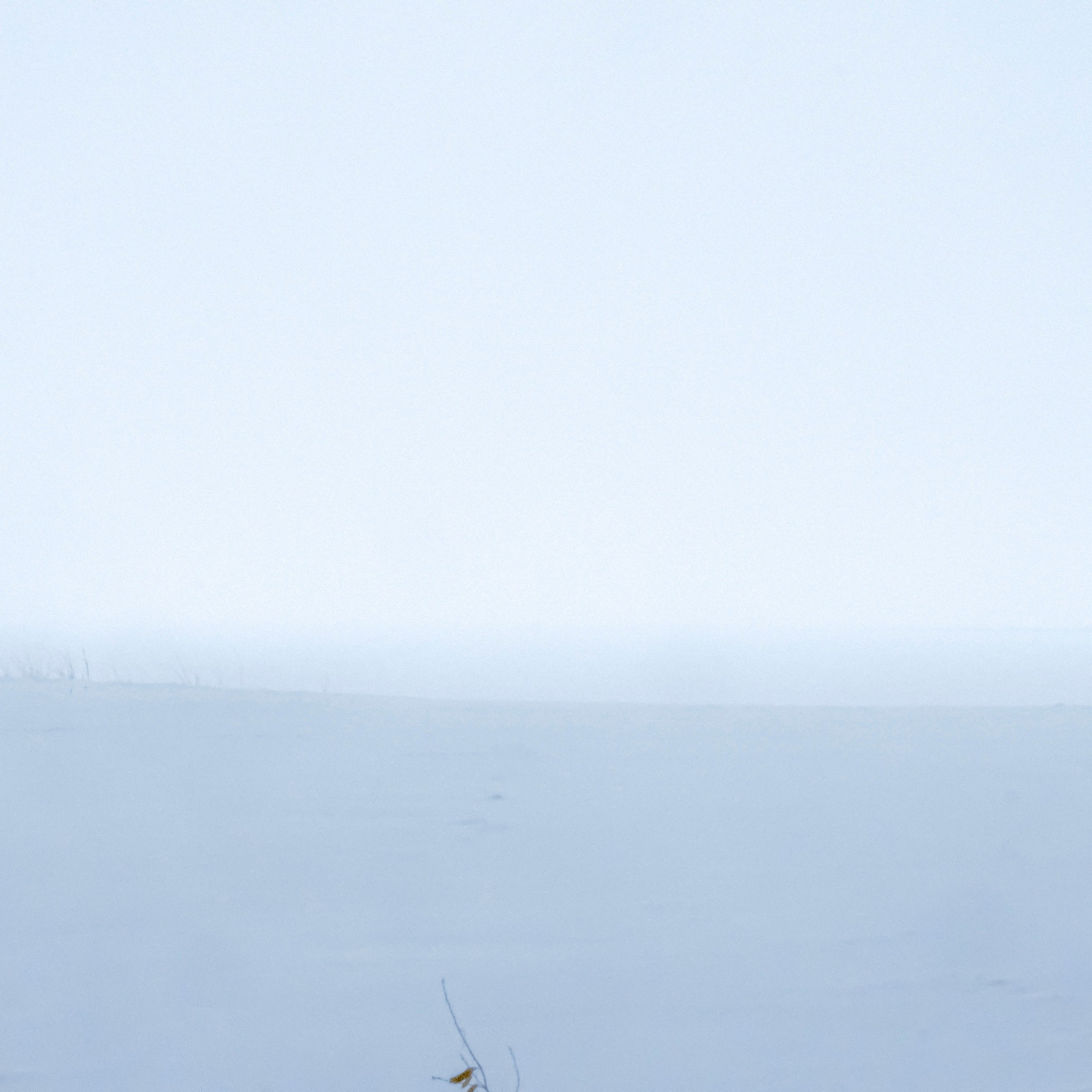 Poisoned dreams. Я — Мария, фотограф/фотохудожник в Санкт-Петербурге