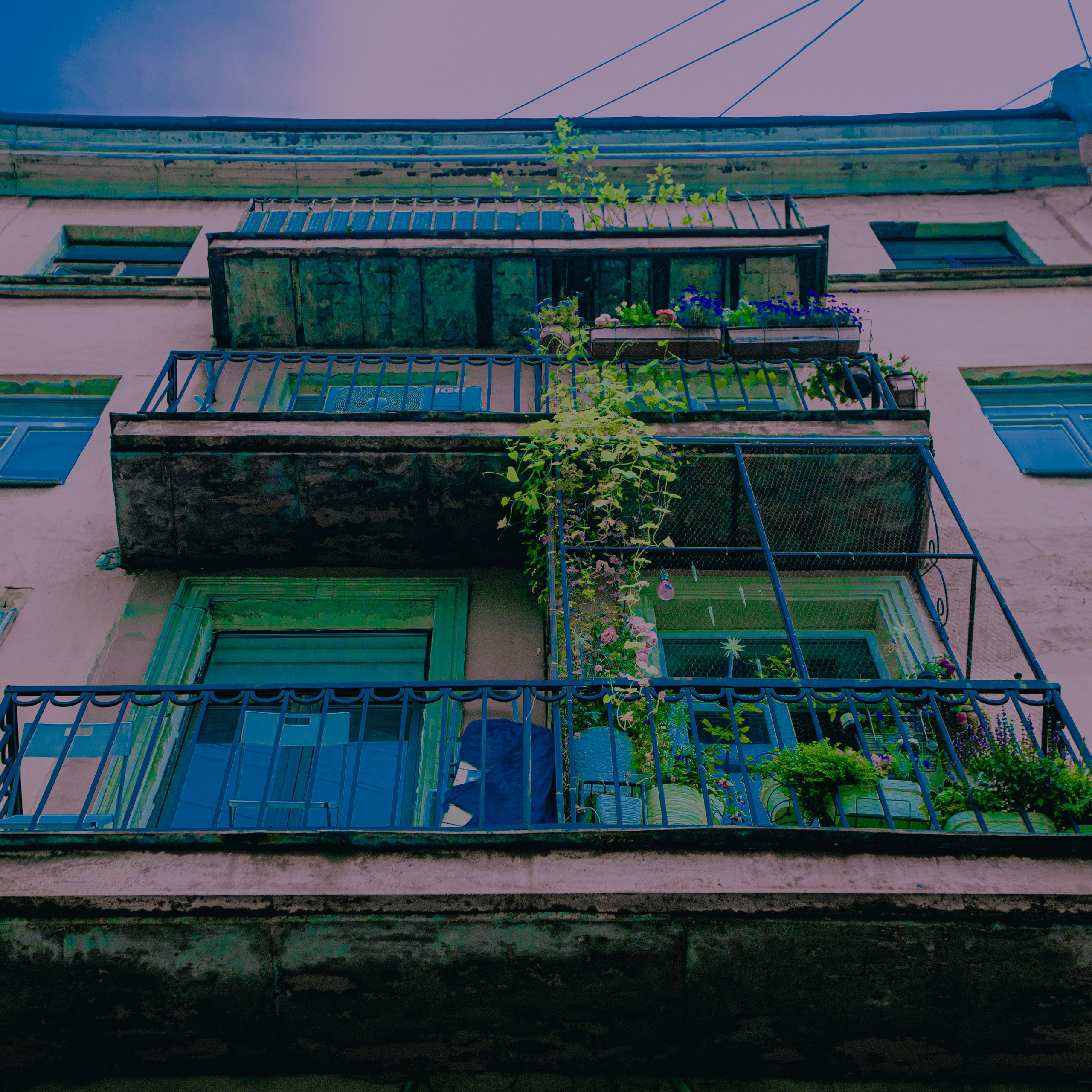 Poisoned dreams. Я — Мария, фотограф/фотохудожник в Санкт-Петербурге