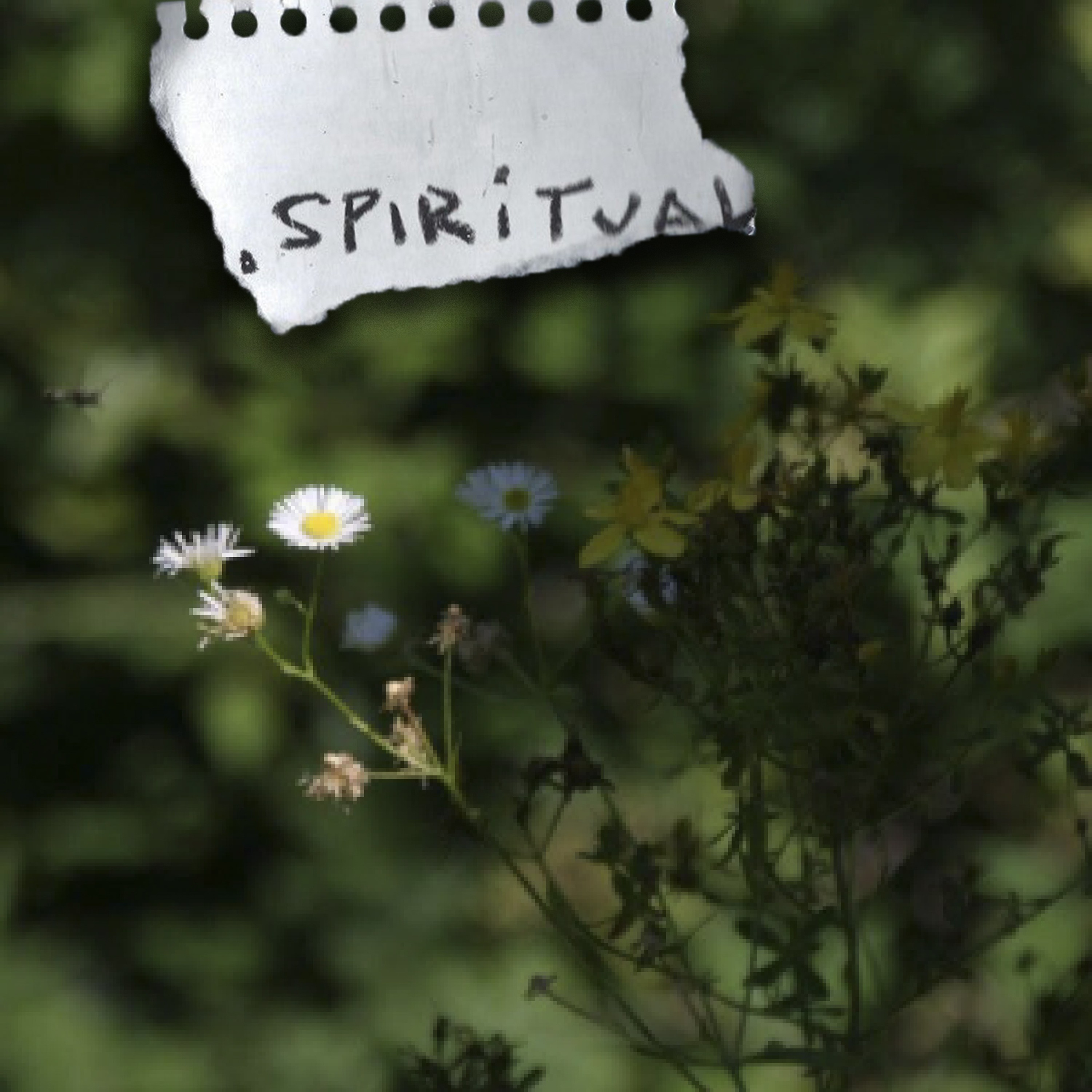 Cover «from nowhere with lo-fi». Я — Мария, фотограф/фотохудожник в Санкт-Петербурге