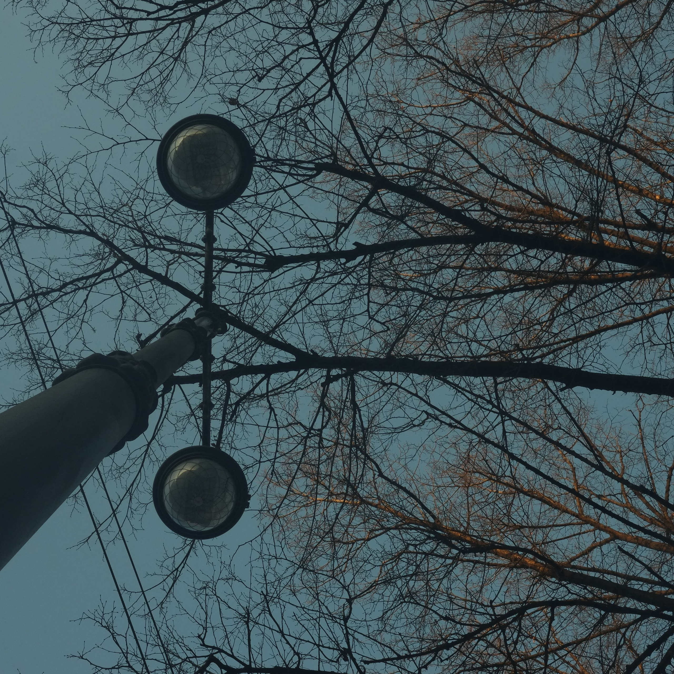 Poisoned dreams. Я — Мария, фотограф/фотохудожник в Санкт-Петербурге