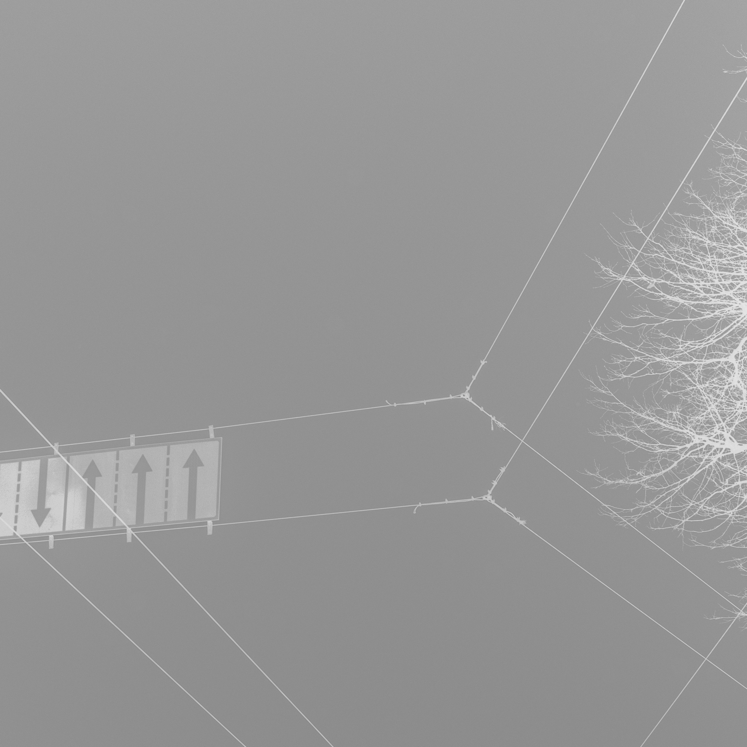 Poisoned dreams. Я — Мария, фотограф/фотохудожник в Санкт-Петербурге