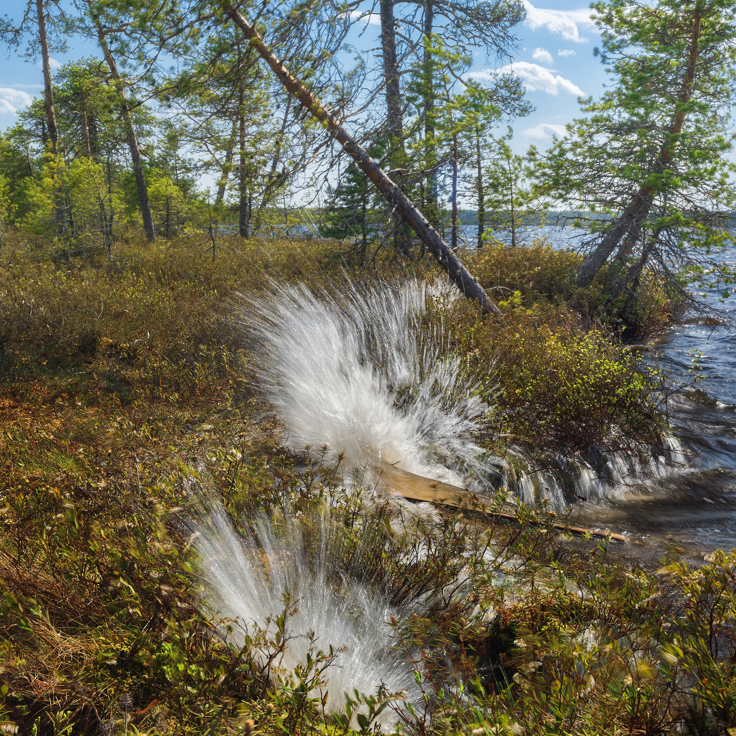 Шторм на болоте. Брызги волн. Брызги воды. Солнечный день на озере. Летний пейзаж.