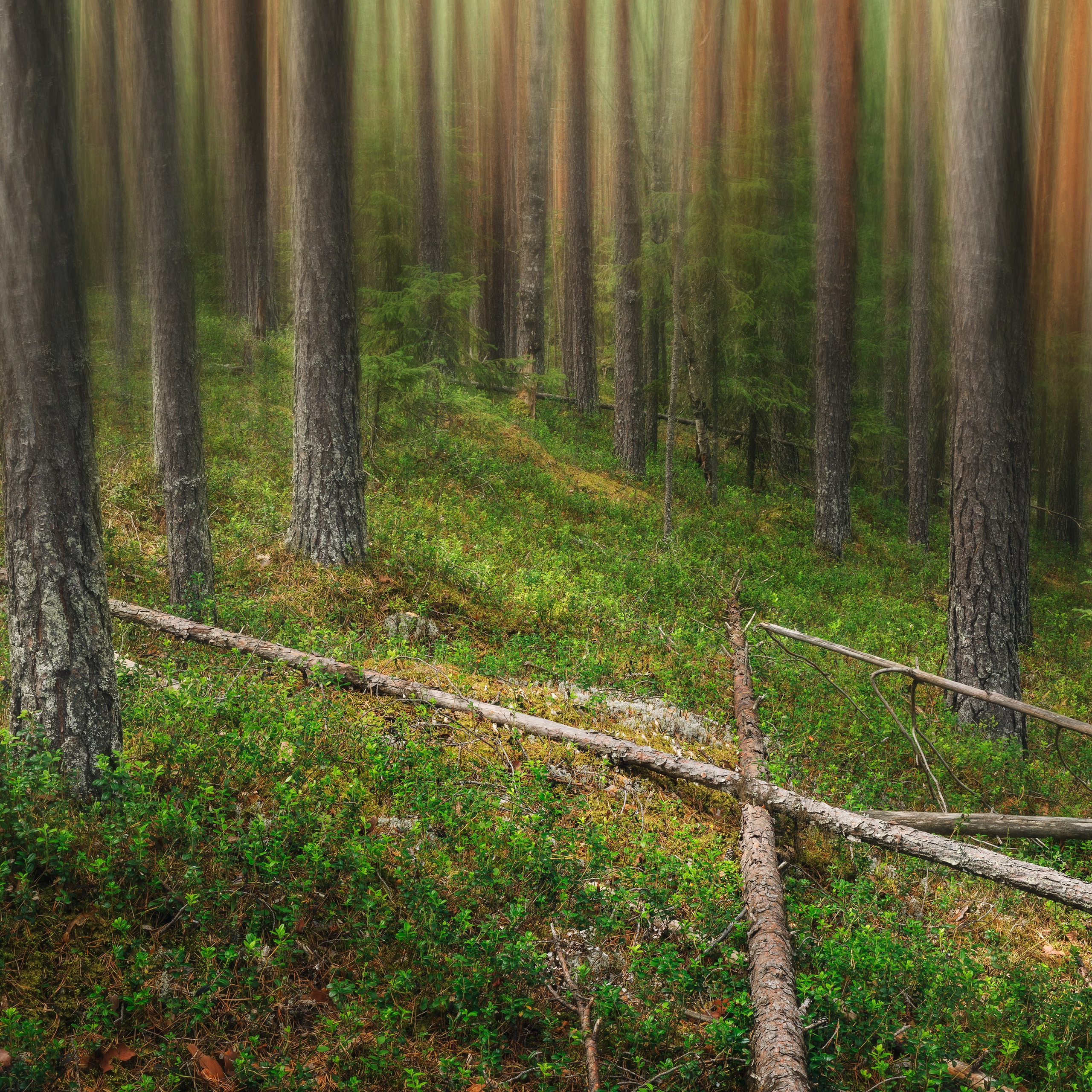 Interior photography. Gallery photography. Photography for interior. Photography for interior design. Landscape on the wall.