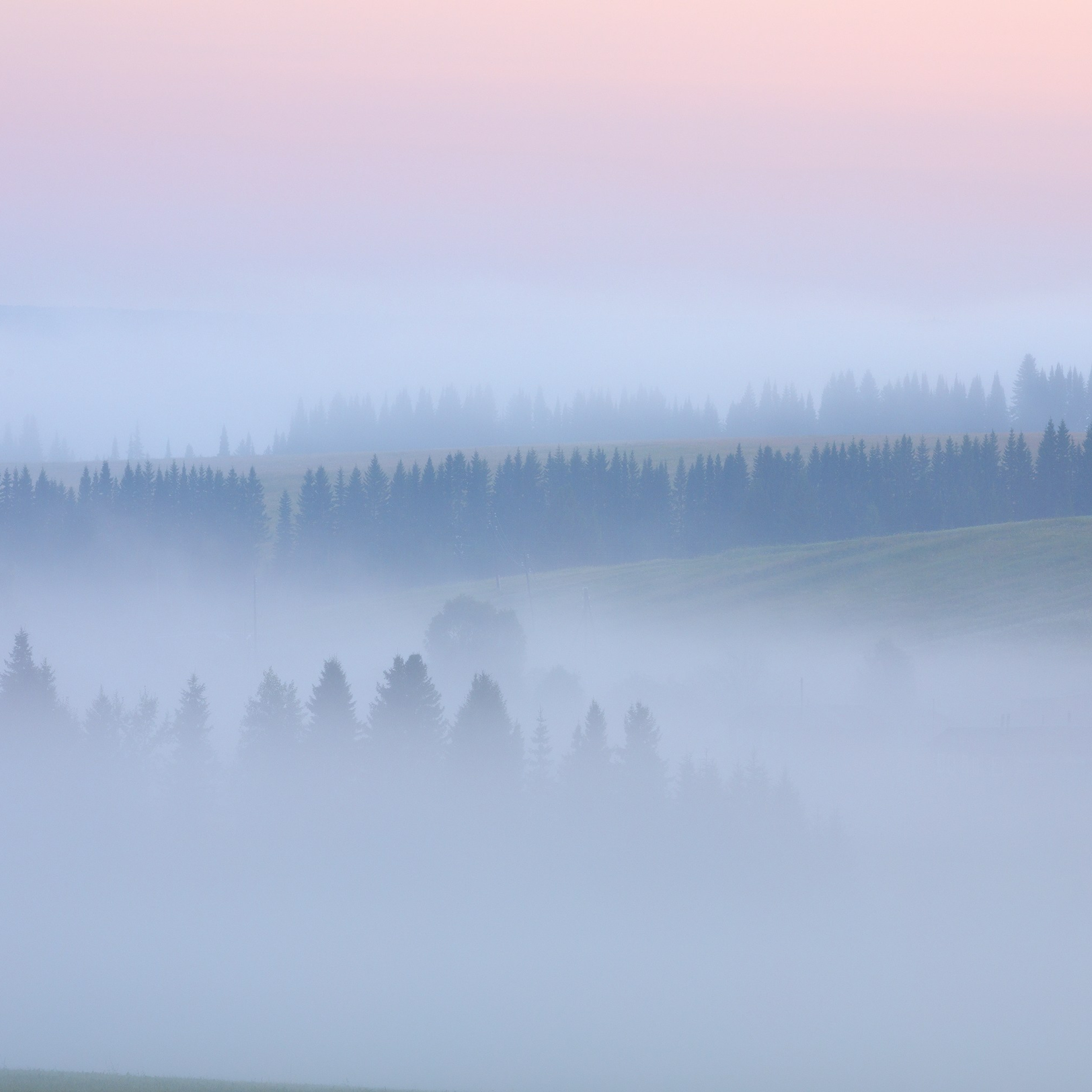 Interior photography. Gallery photography. Photography for interior. Photography for interior design. Landscape on the wall.