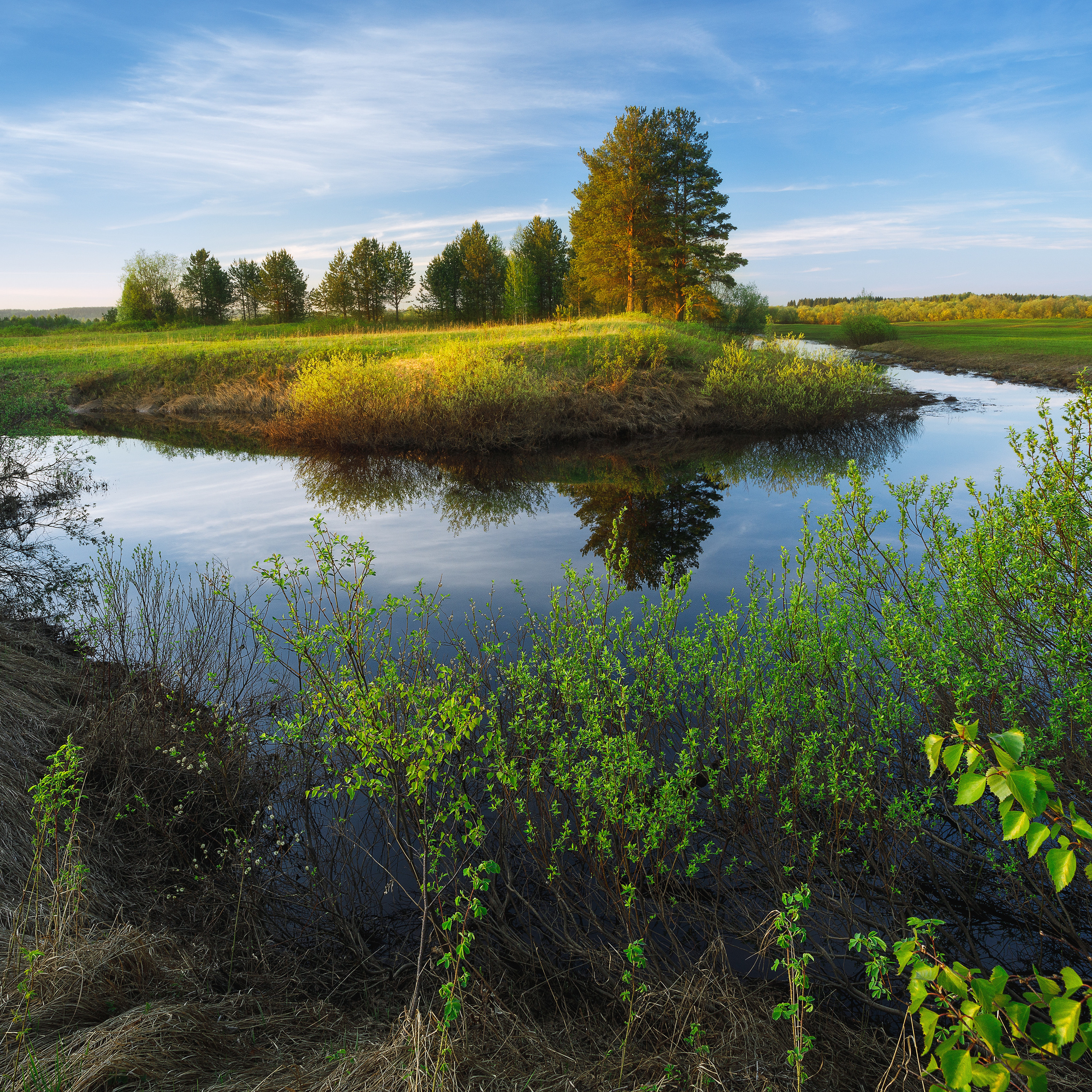Весенние заливные поля. Половодье. Первая трава.