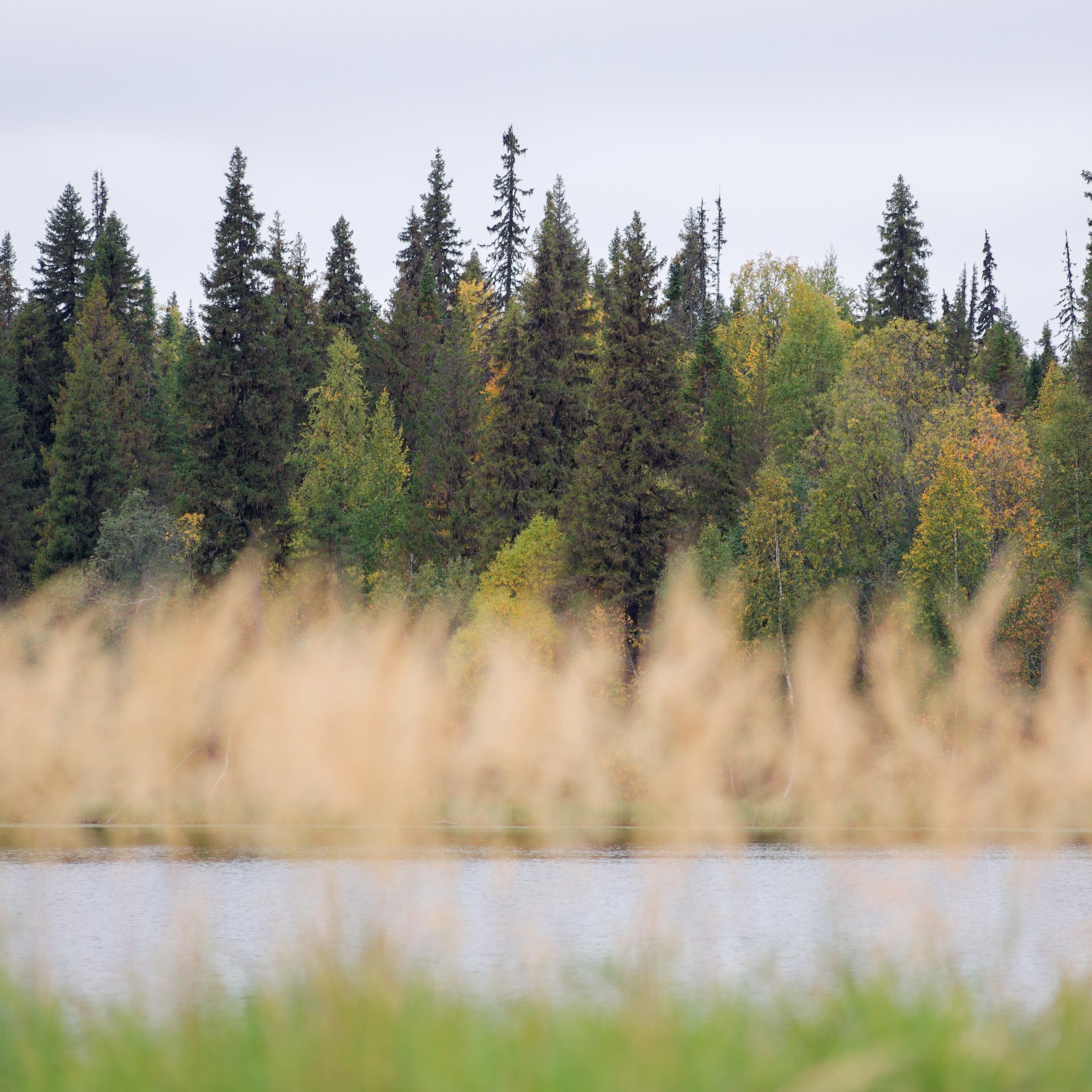 Interior photography. Gallery photography. Photography for interior. Photography for interior design. Landscape on the wall.