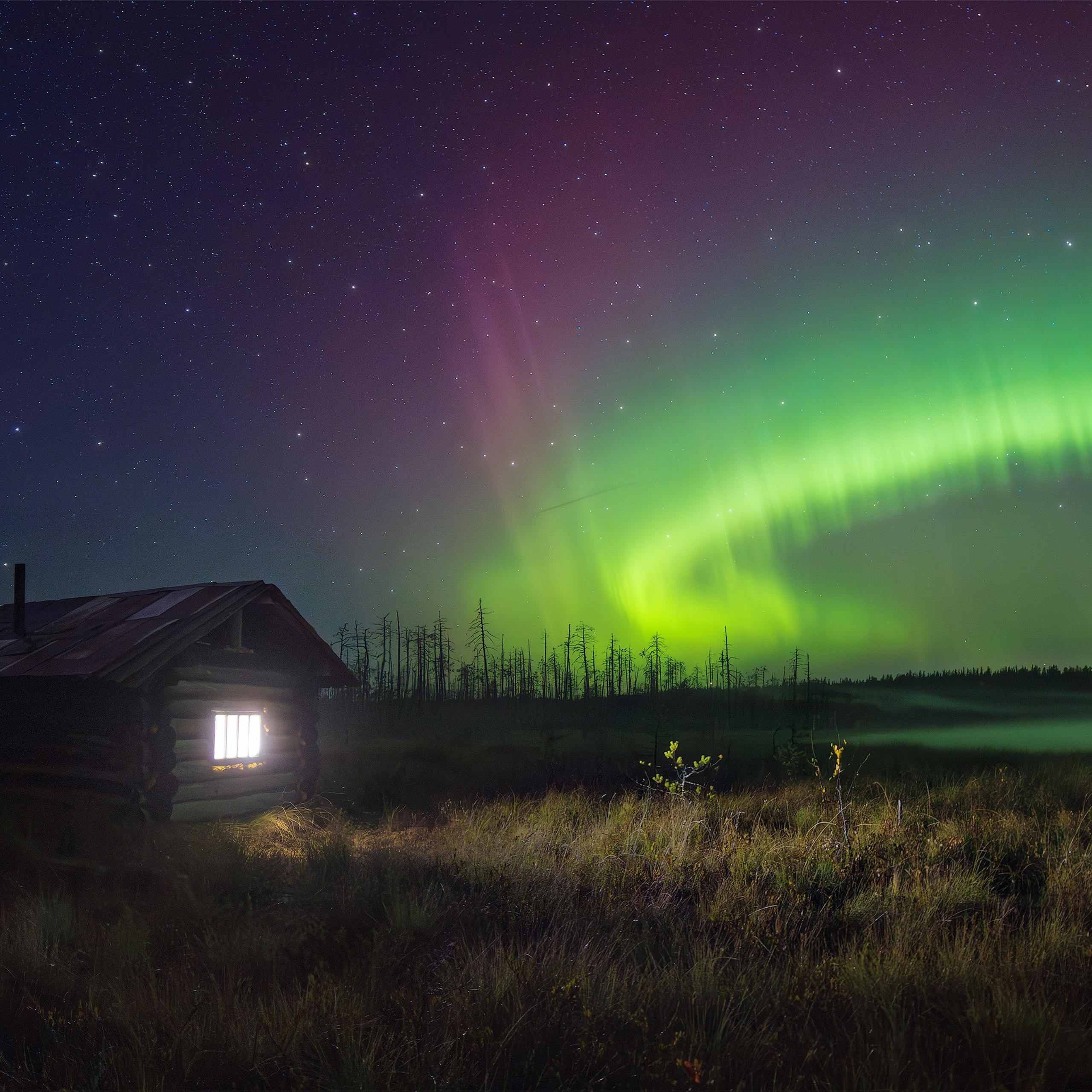 Northern Lights on Lake Yrymvad in the Komi Republic. Aurora borealis. Night landscape with Northern Lights. Forest hut and Northern Lights.