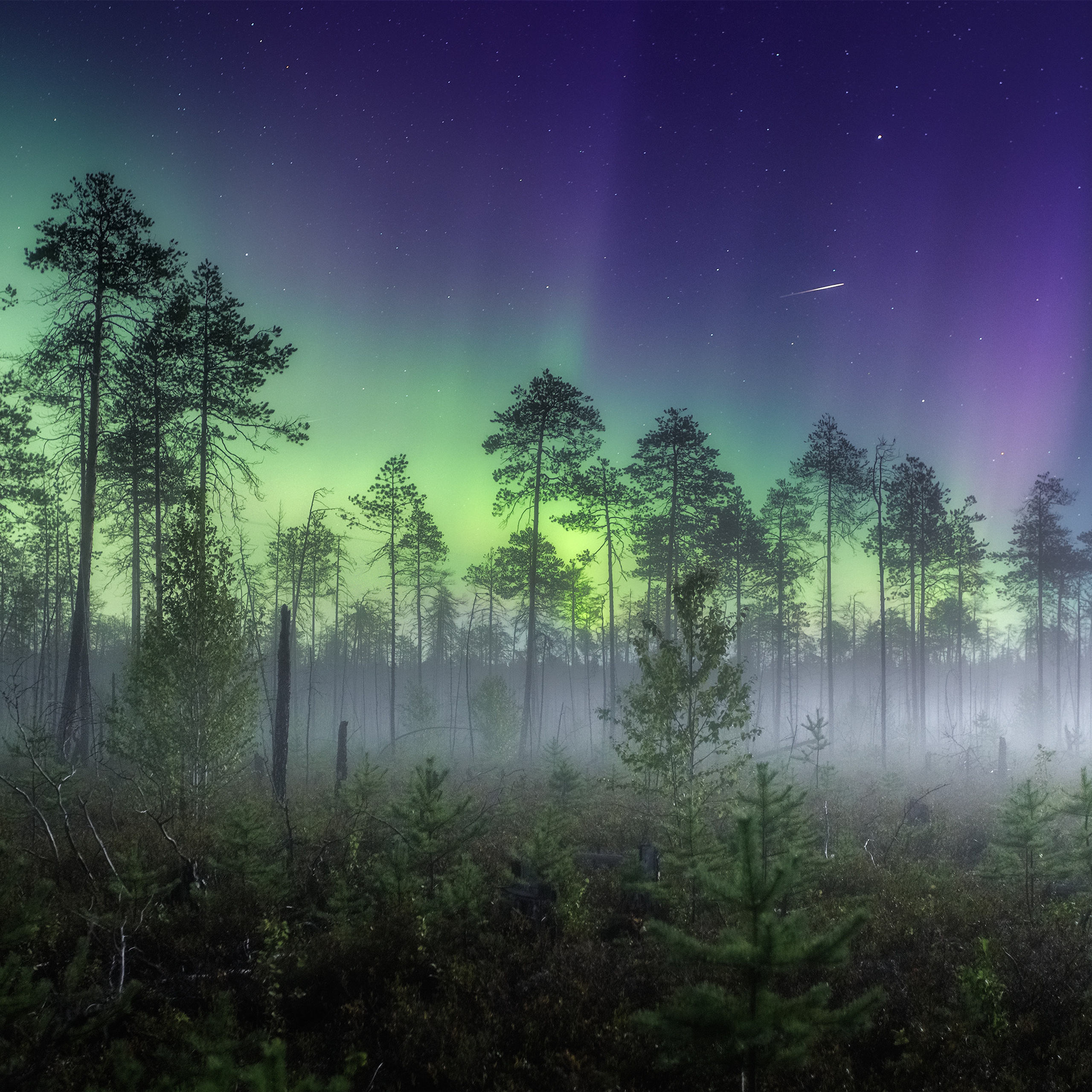 Northern lights and meteor in the Komi Republic. Night landscape with Northern Lights.