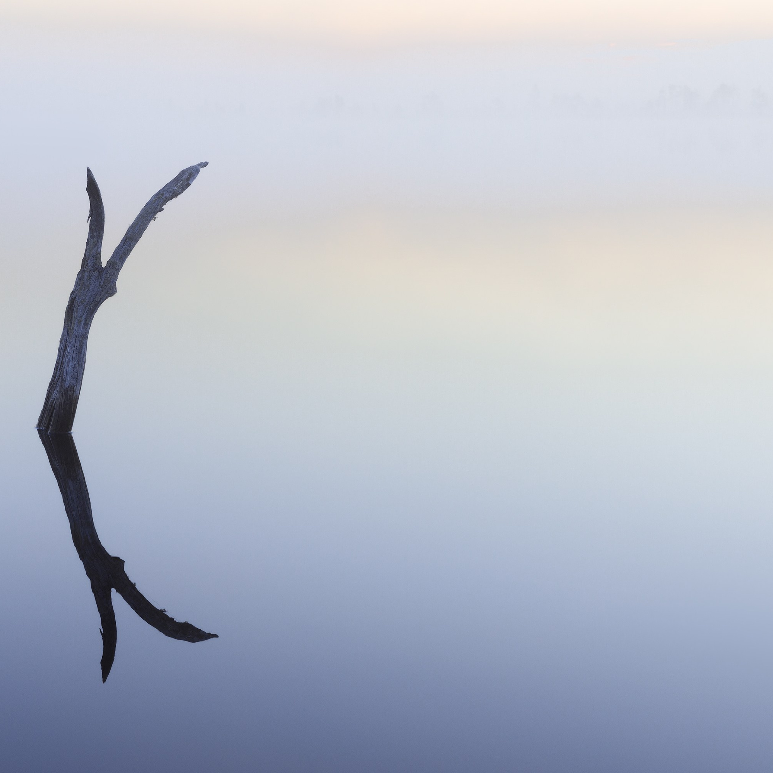 Interior photography. Gallery photography. Photography for interior. Photography for interior design. Landscape on the wall.