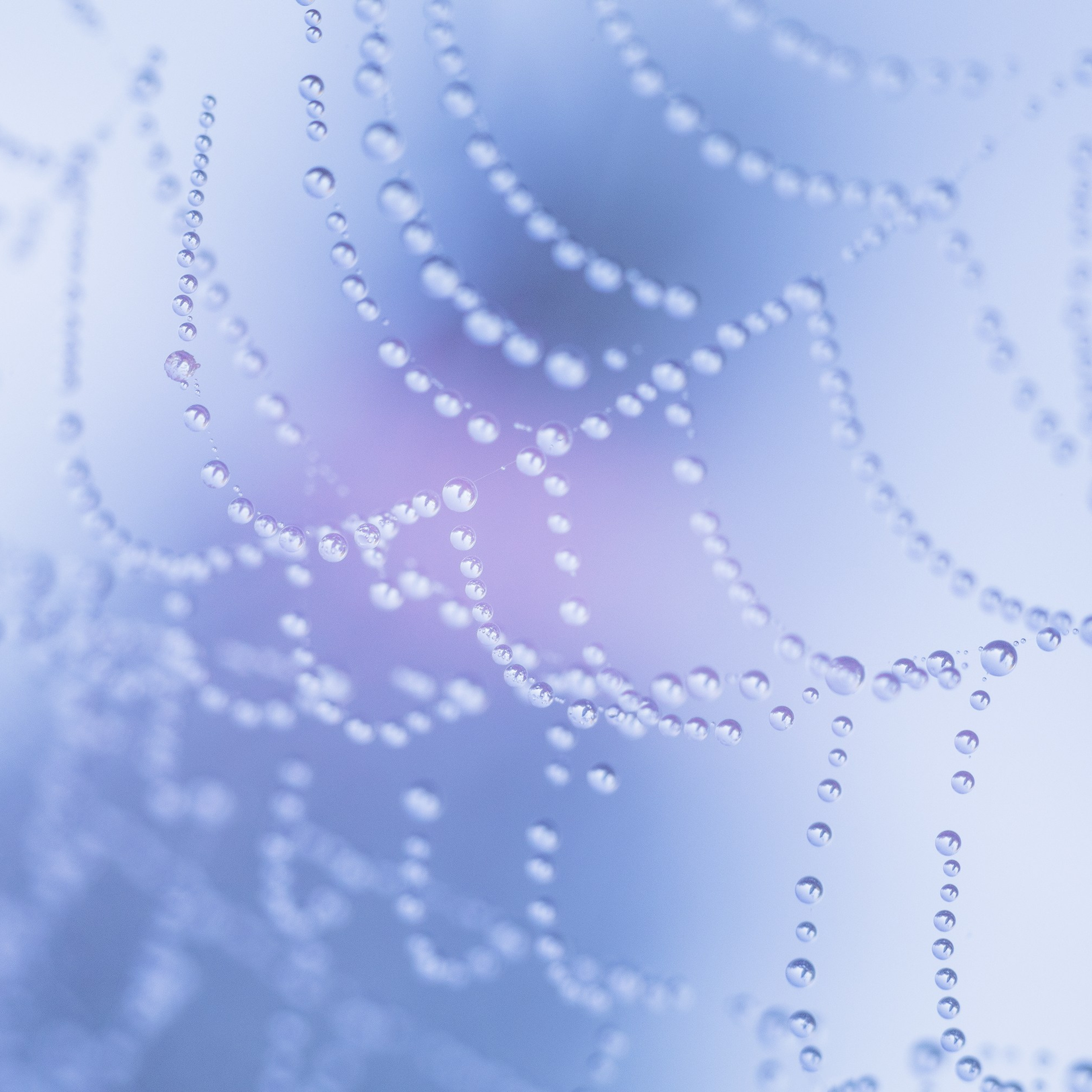 Interior photography. Gallery photography. Photography for interior. Photography for interior design. Landscape on the wall.