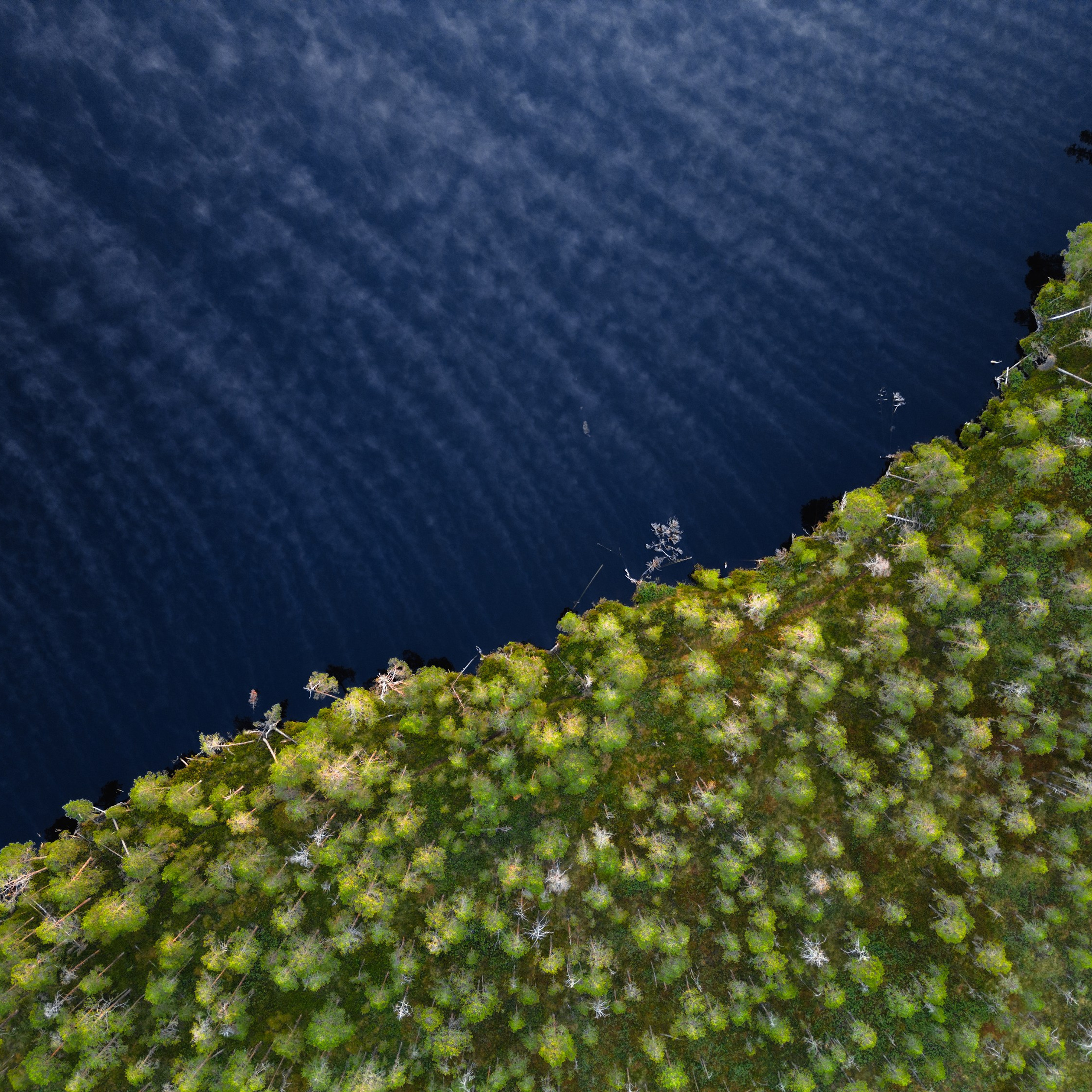 Interior photography. Gallery photography. Interior photography. Interior design photography. Wall landscapes. Art photography. Fine art photography.