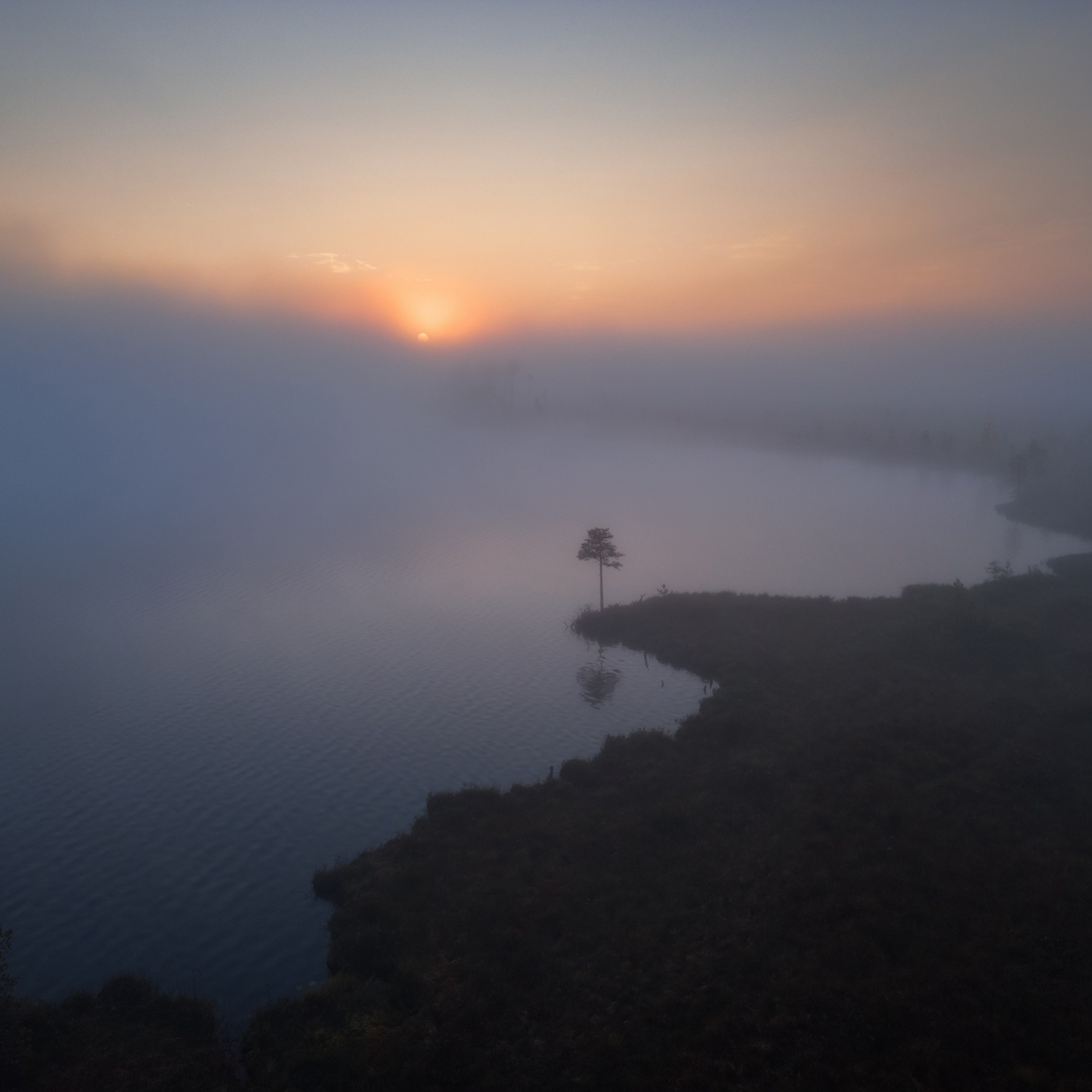 Interior photography. Gallery photography. Interior photography. Interior design photography. Wall landscapes. Art photography. Fine art photography.