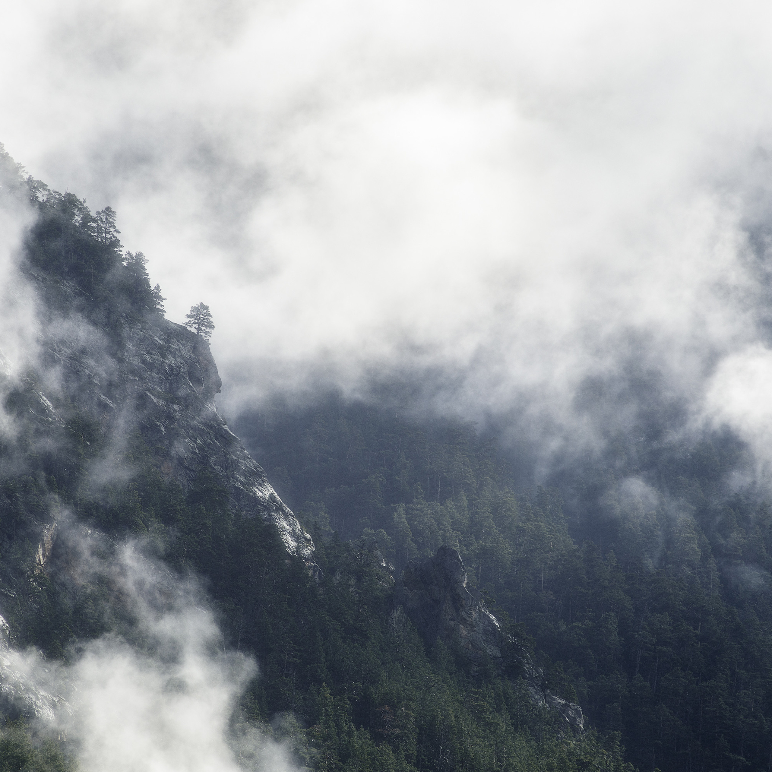 Утренний туман в горах. Утро в Карачаево-Черкесской Республике. Рассвет в горах.