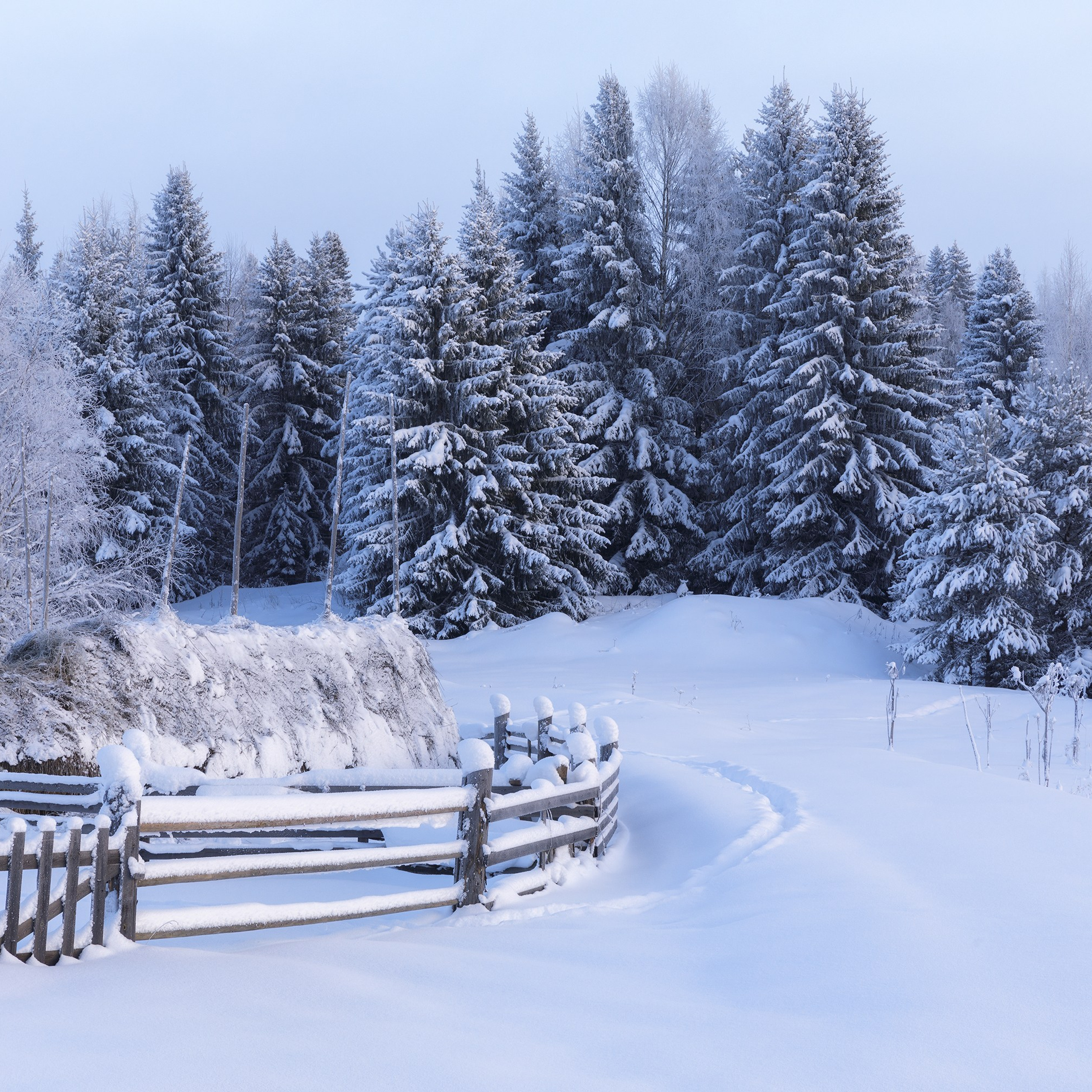 Морозный вечер в деревне. Зима на севере. Крещенские морозы. Стог сена под снегом. Заснеженные ели.