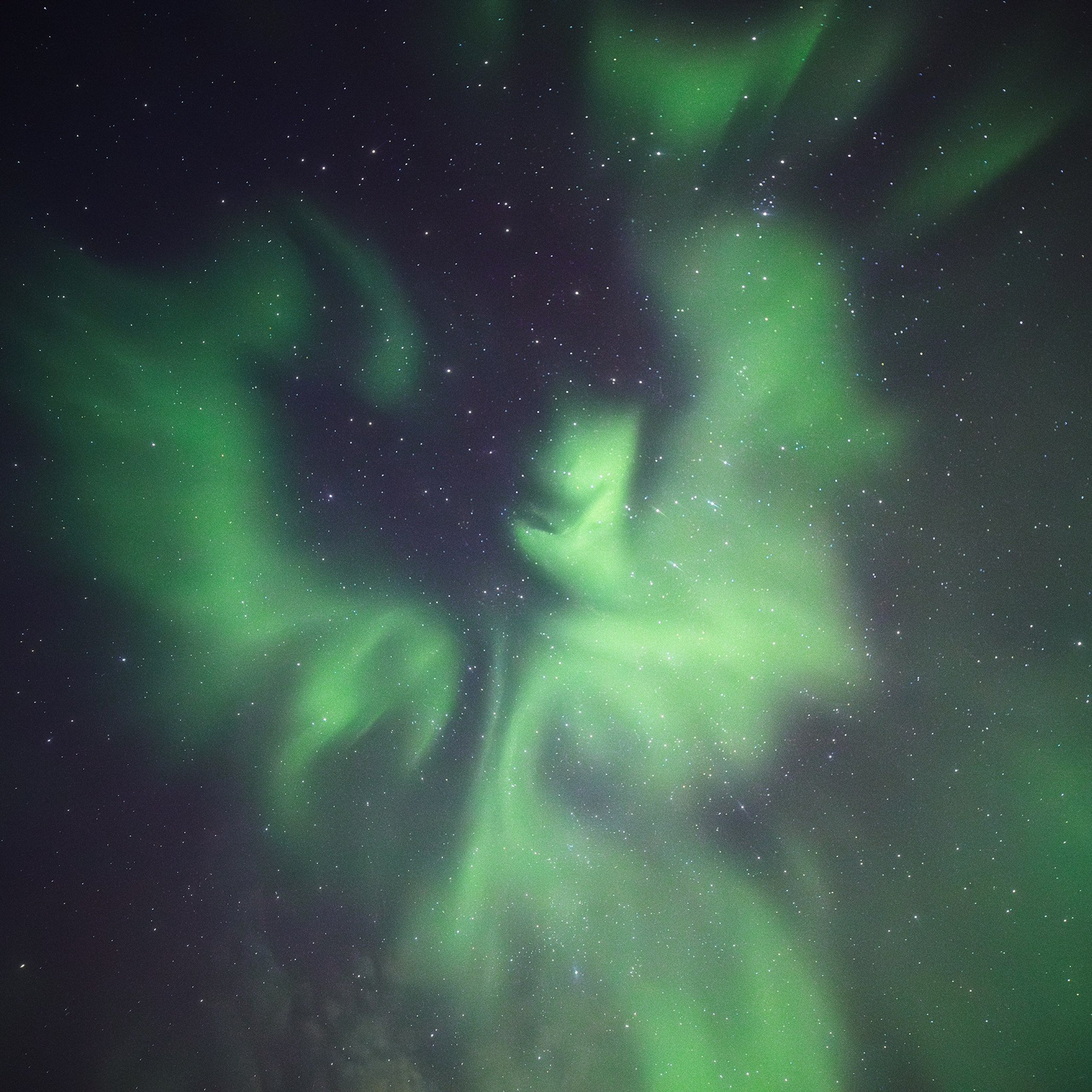 Interior photography. Gallery photography. Photography for interior. Photography for interior design. Landscape on the wall.