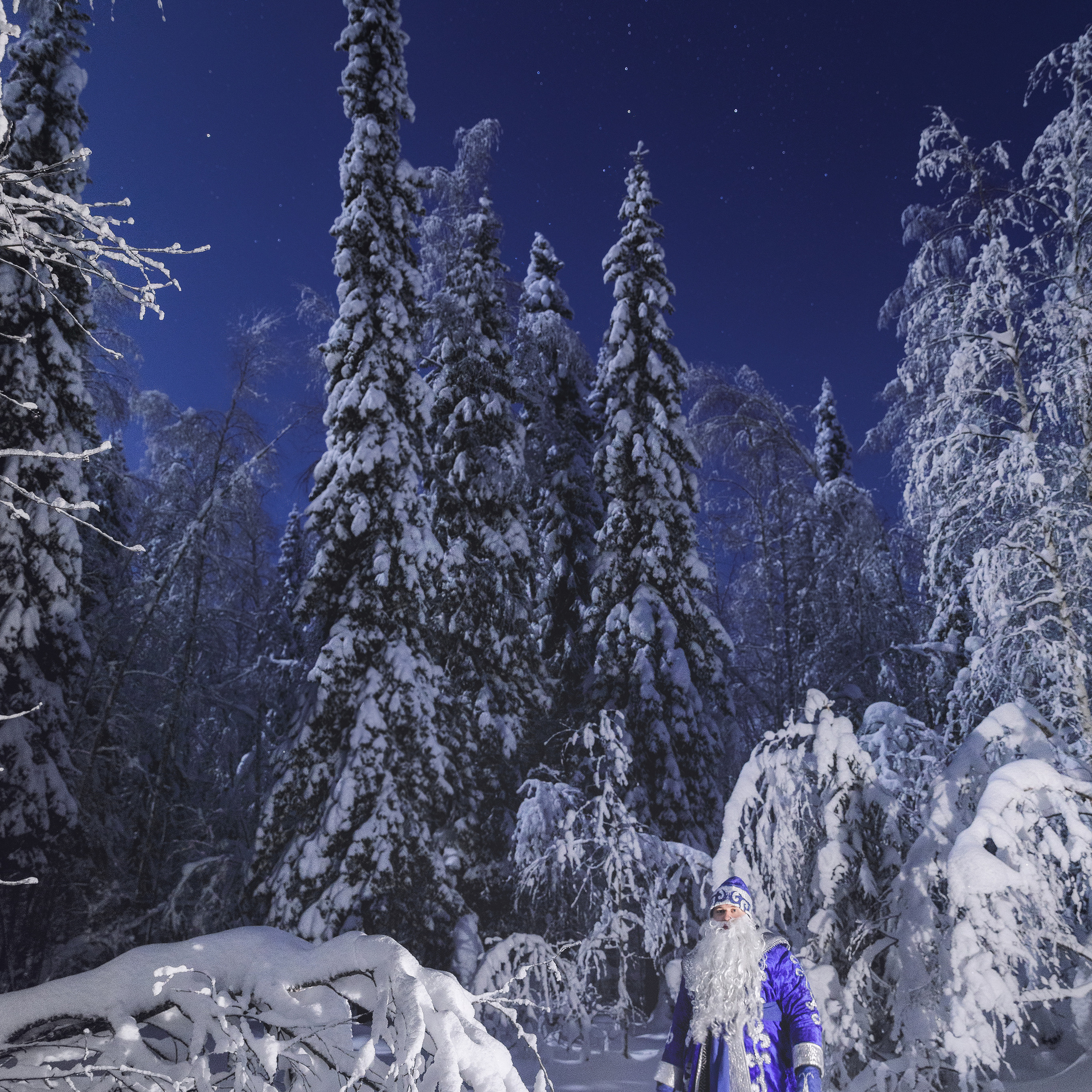 Дедушка мороз в зимнем лесу ночью. Волшебный мир Дедушки Мороза.