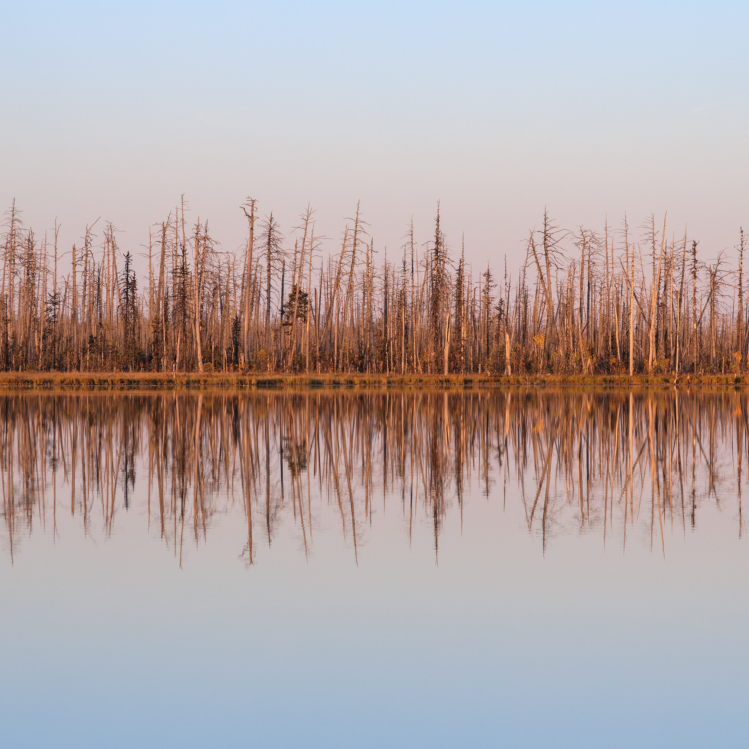 Interior photography. Gallery photography. Photography for interior. Photography for interior design. Landscape on the wall.