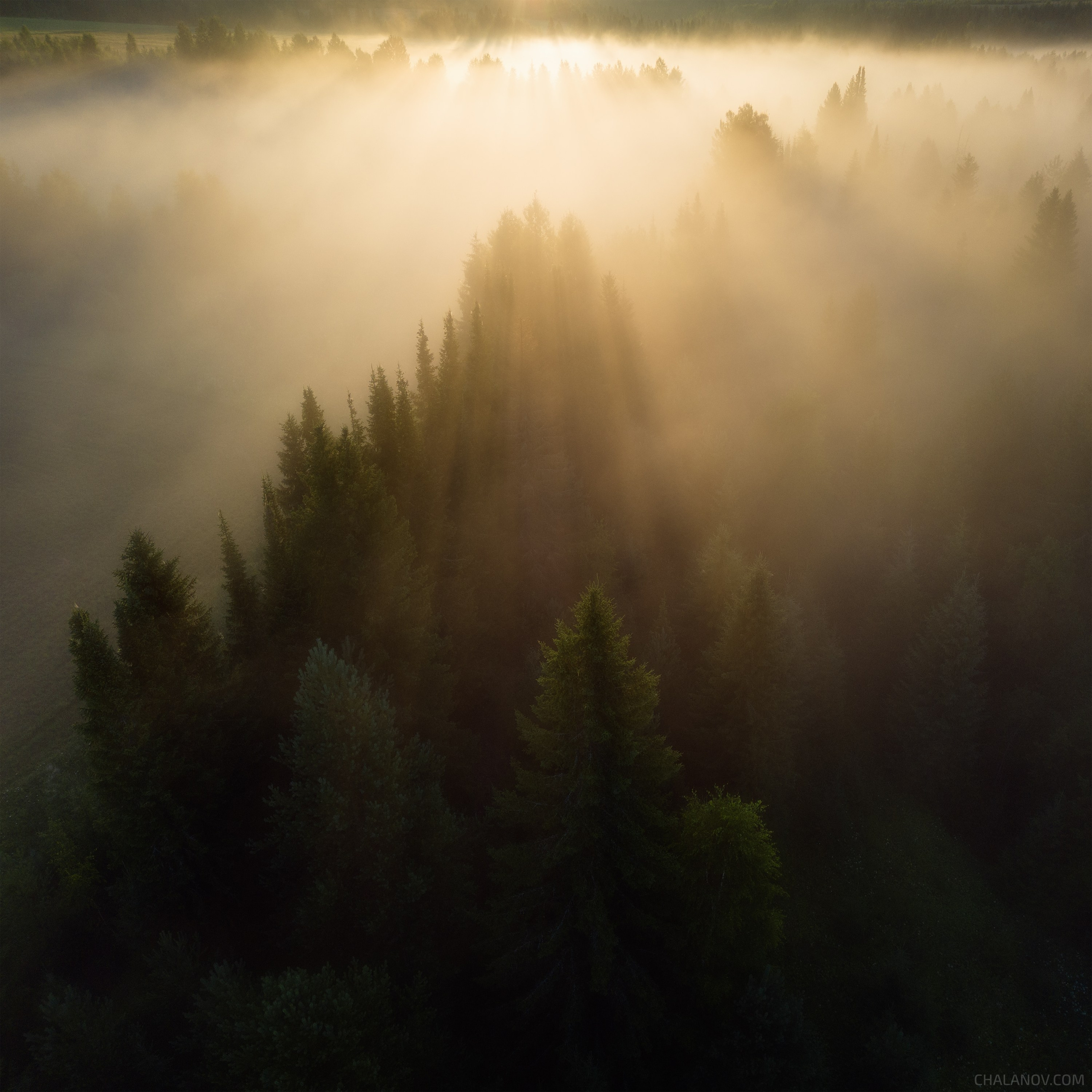 Interior photography. Gallery photography. Photography for interior. Photography for interior design. Landscape on the wall.