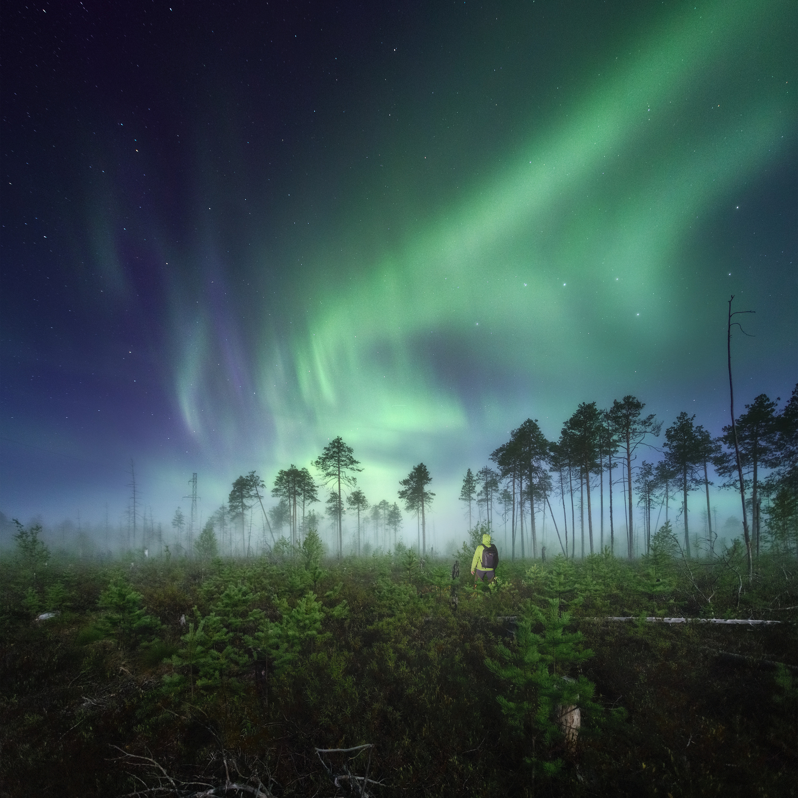 Northern lights and people in the Komi Republic