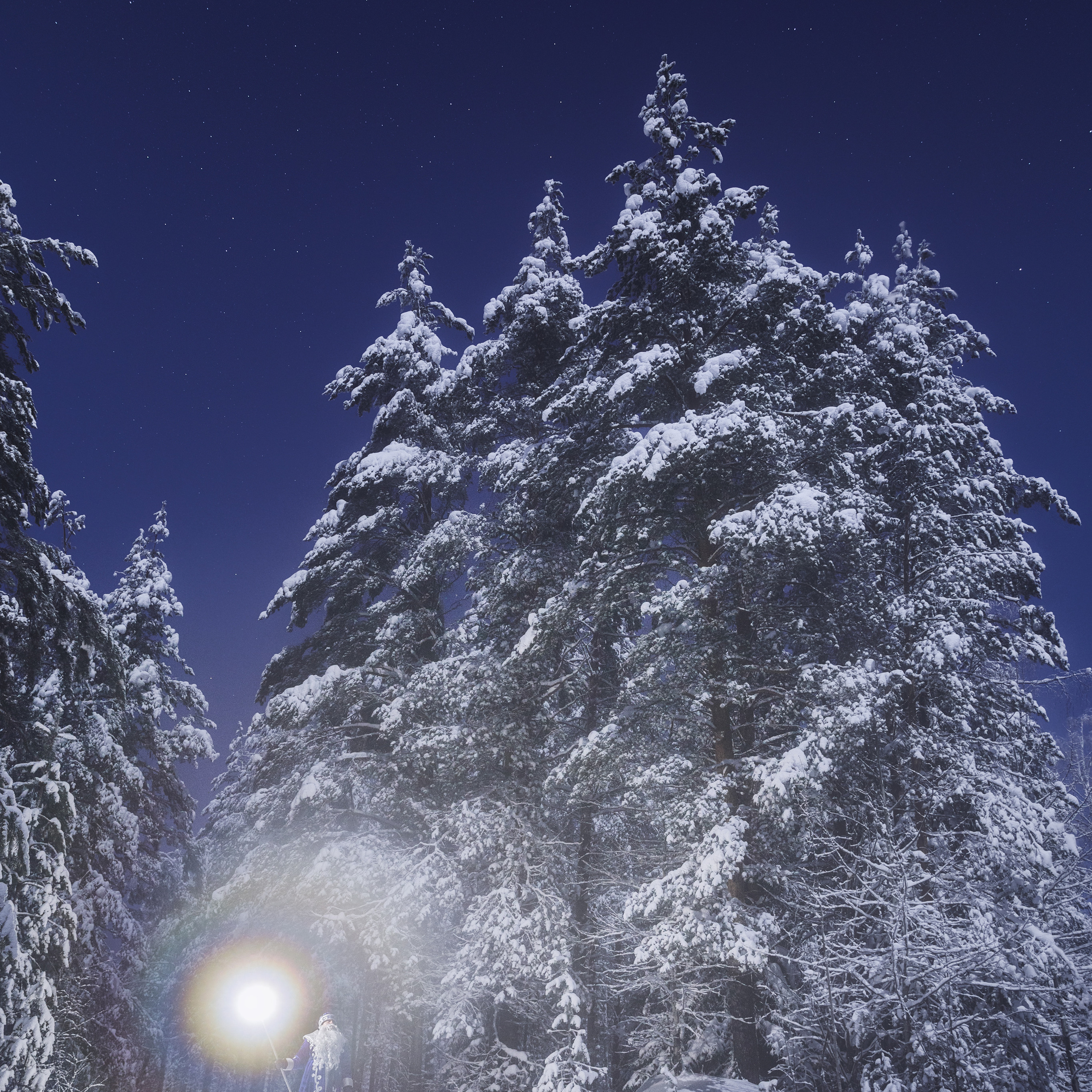 Дедушка мороз в зимнем лесу ночью. Волшебный мир Дедушки Мороза.