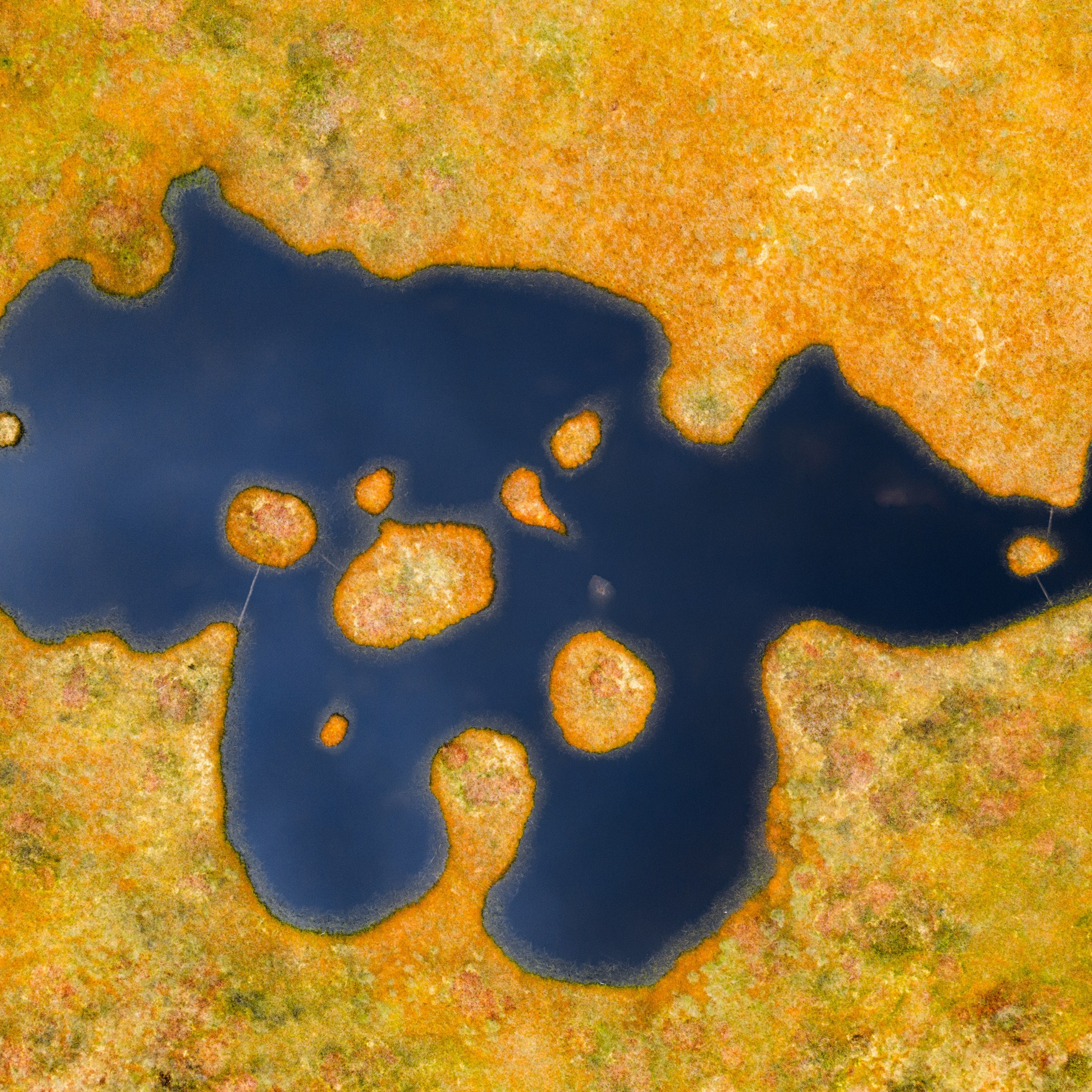 Interior photography. Gallery photography. Interior photography. Interior design photography. Wall landscapes. Art photography. Fine art photography.