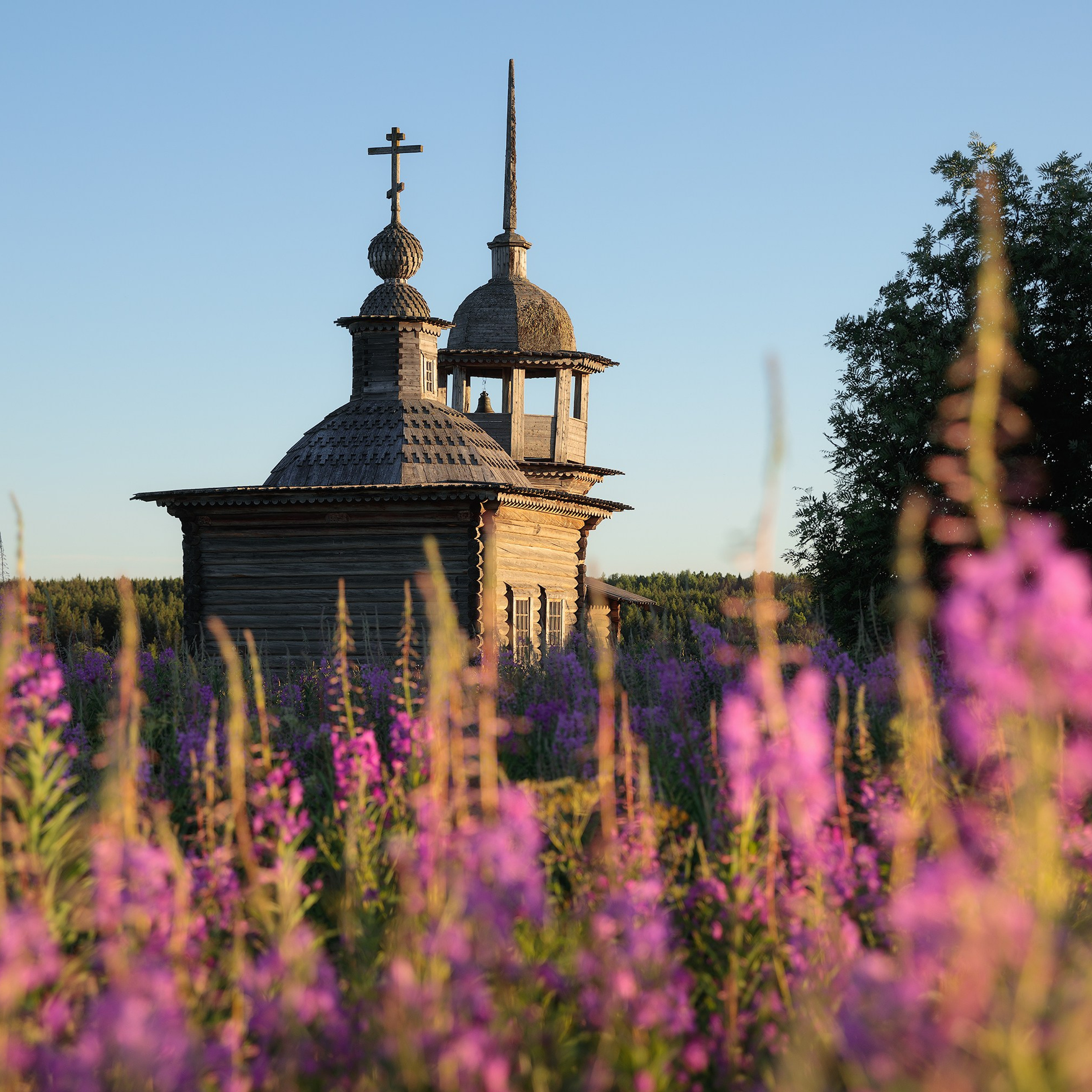 Часовня Введения во храм Пресвятой Богородицы 1838 года. Республика Коми, Княжпогостский район, деревня Шӧр Тыла (Средняя Отла).