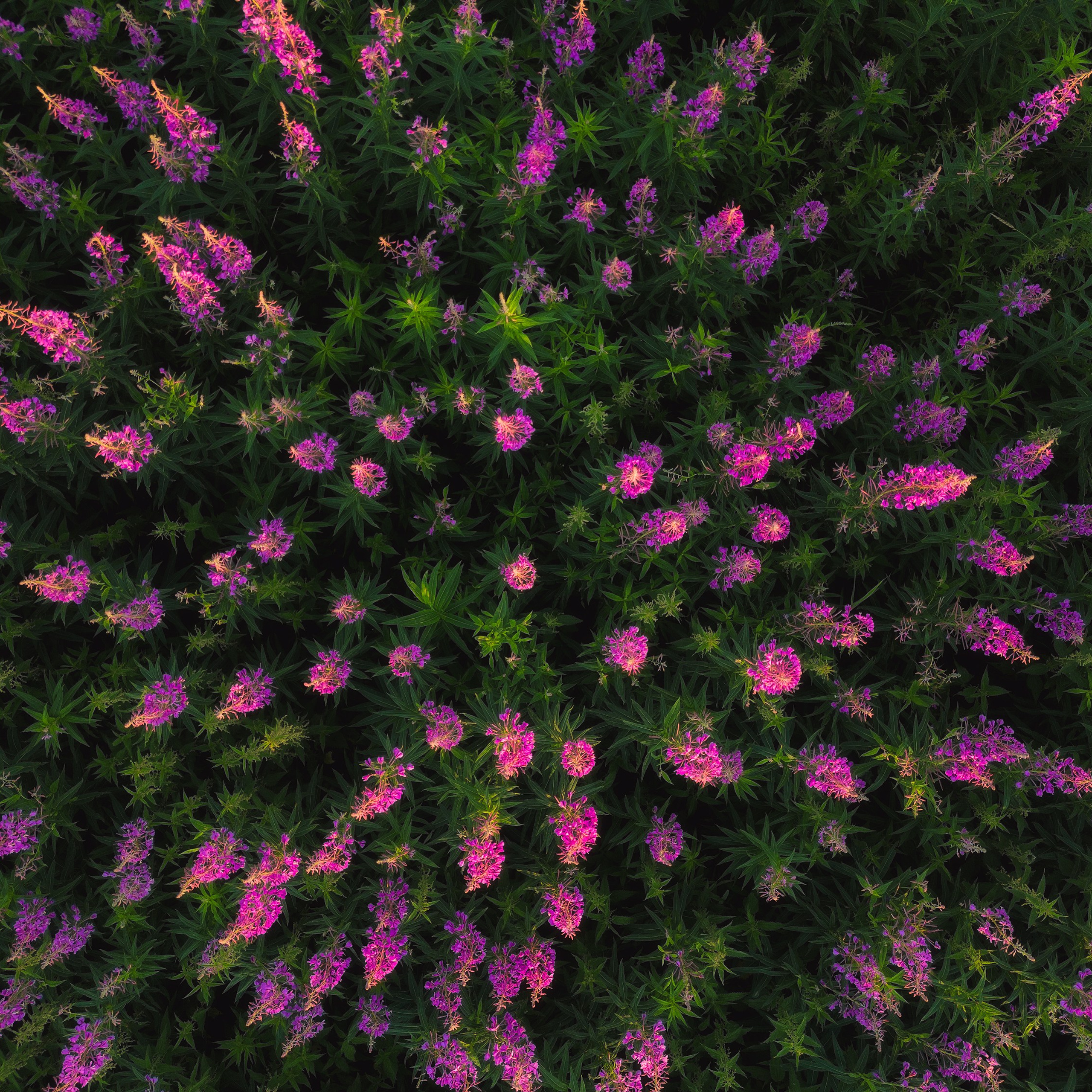 Interior photography. Gallery photography. Photography for interior. Photography for interior design. Landscape on the wall.