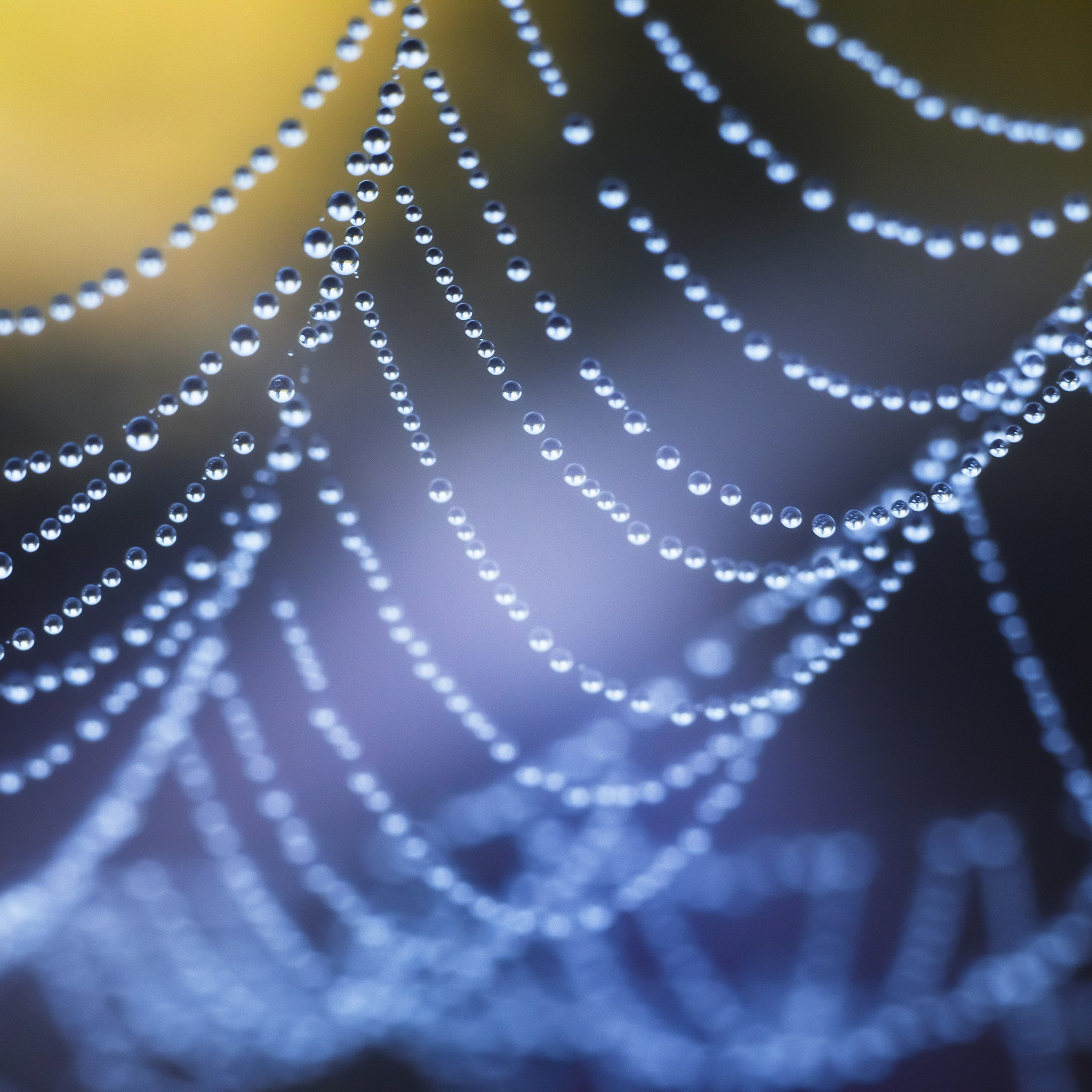 Interior photography. Gallery photography. Photography for interior. Photography for interior design. Landscape on the wall.