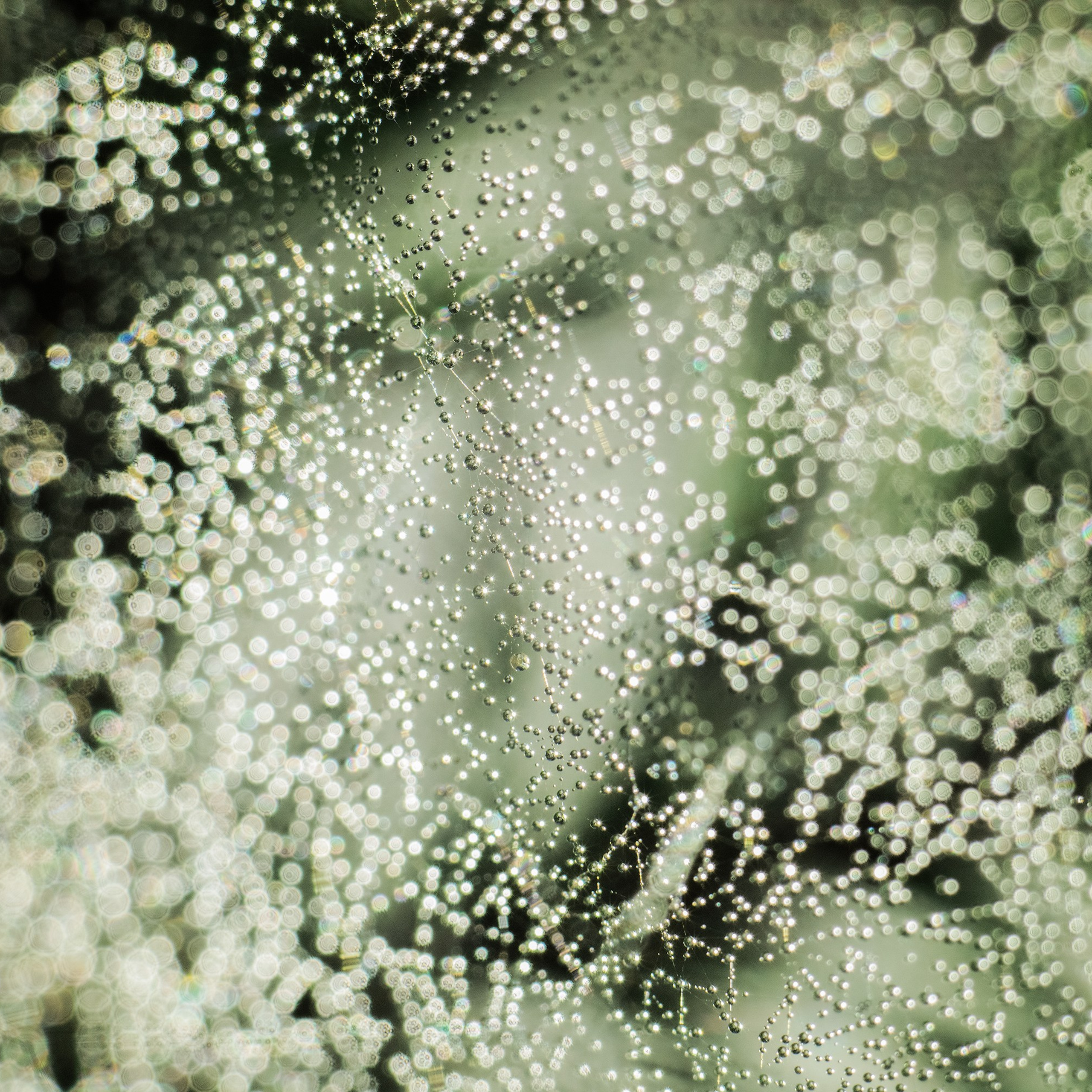 Interior photography. Gallery photography. Photography for interior. Photography for interior design. Landscape on the wall.