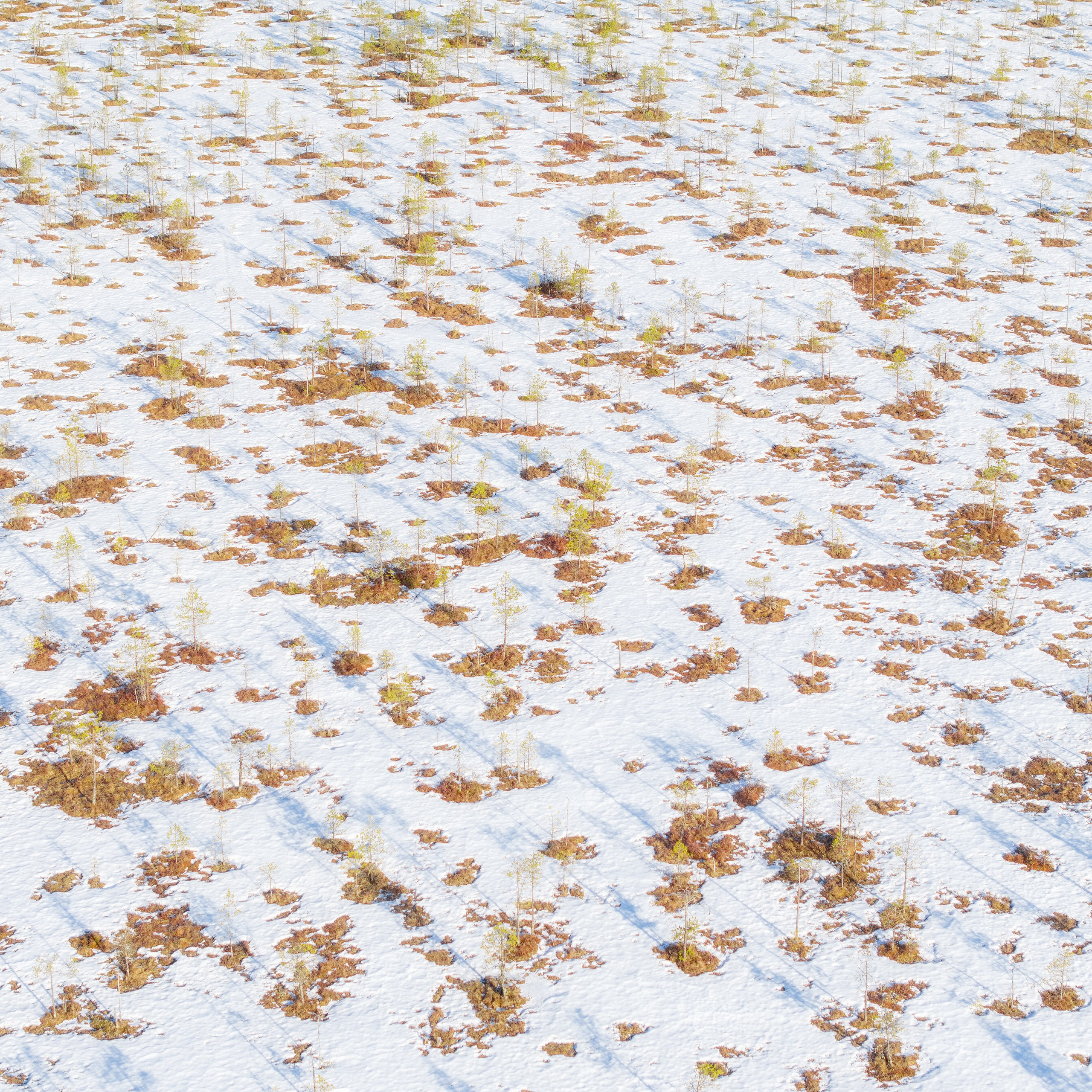 Art photography. Professional landscape and advertising photographer Chalanov Ivan
