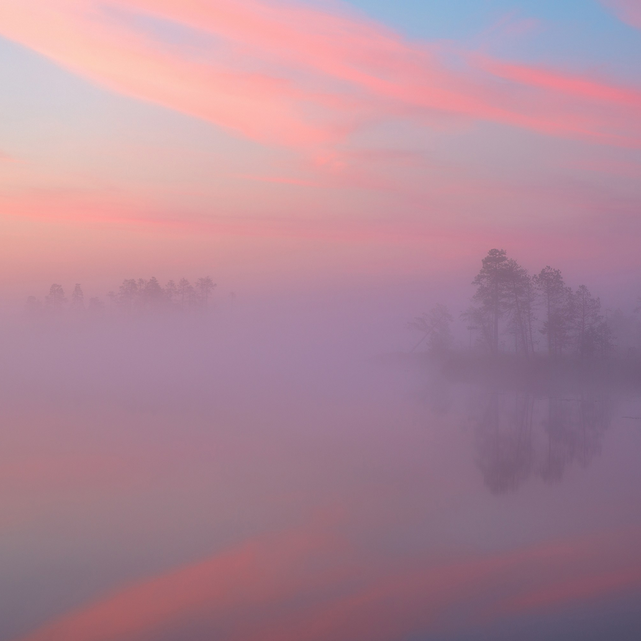 Interior photography. Gallery photography. Interior photography. Interior design photography. Wall landscapes. Art photography. Fine art photography.