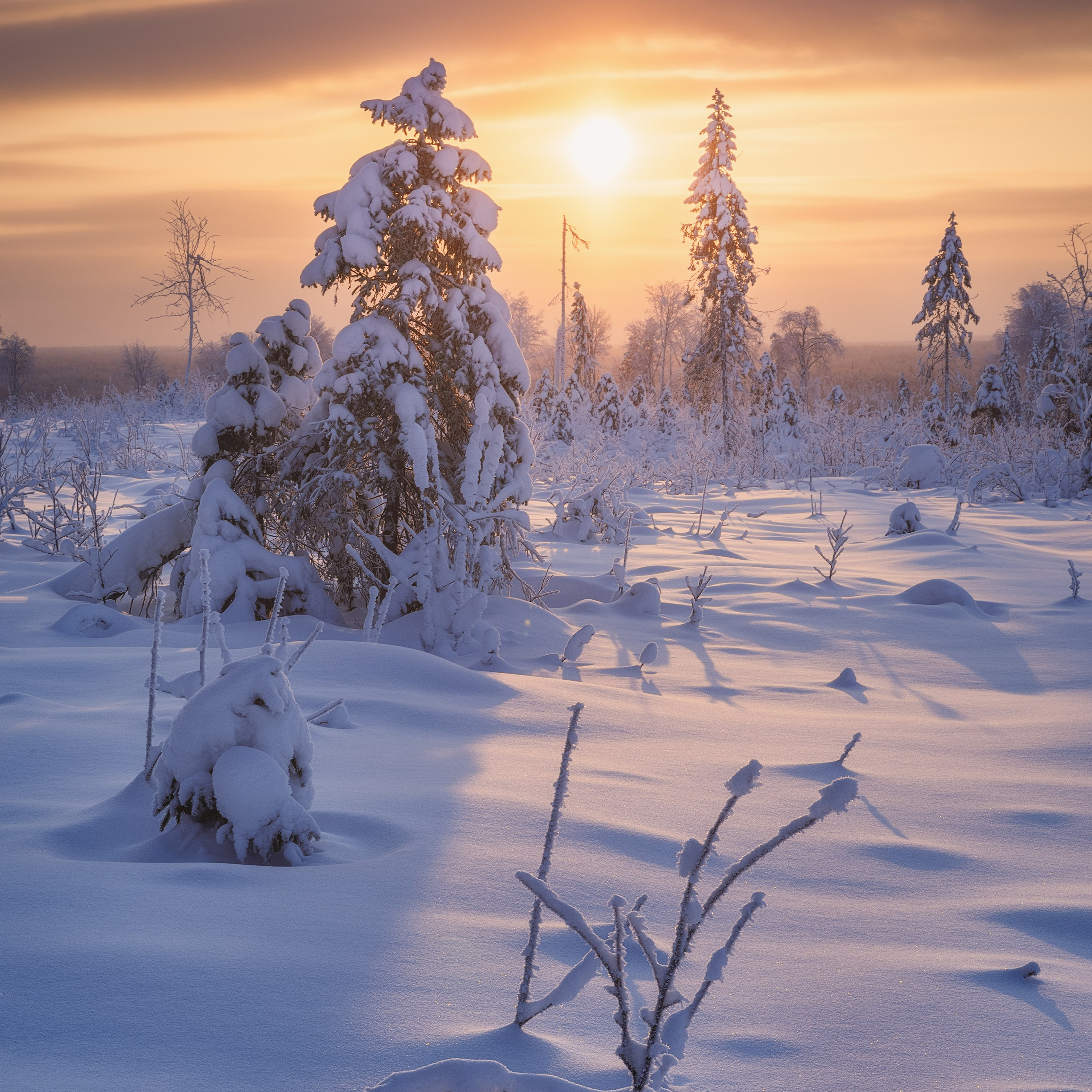 Bright sunrise in winter in the forest. Sunrise in winter. Sunrise in winter on a frosty day. Winter landscape. Beautiful sunrise in winter in the Komi Republic.