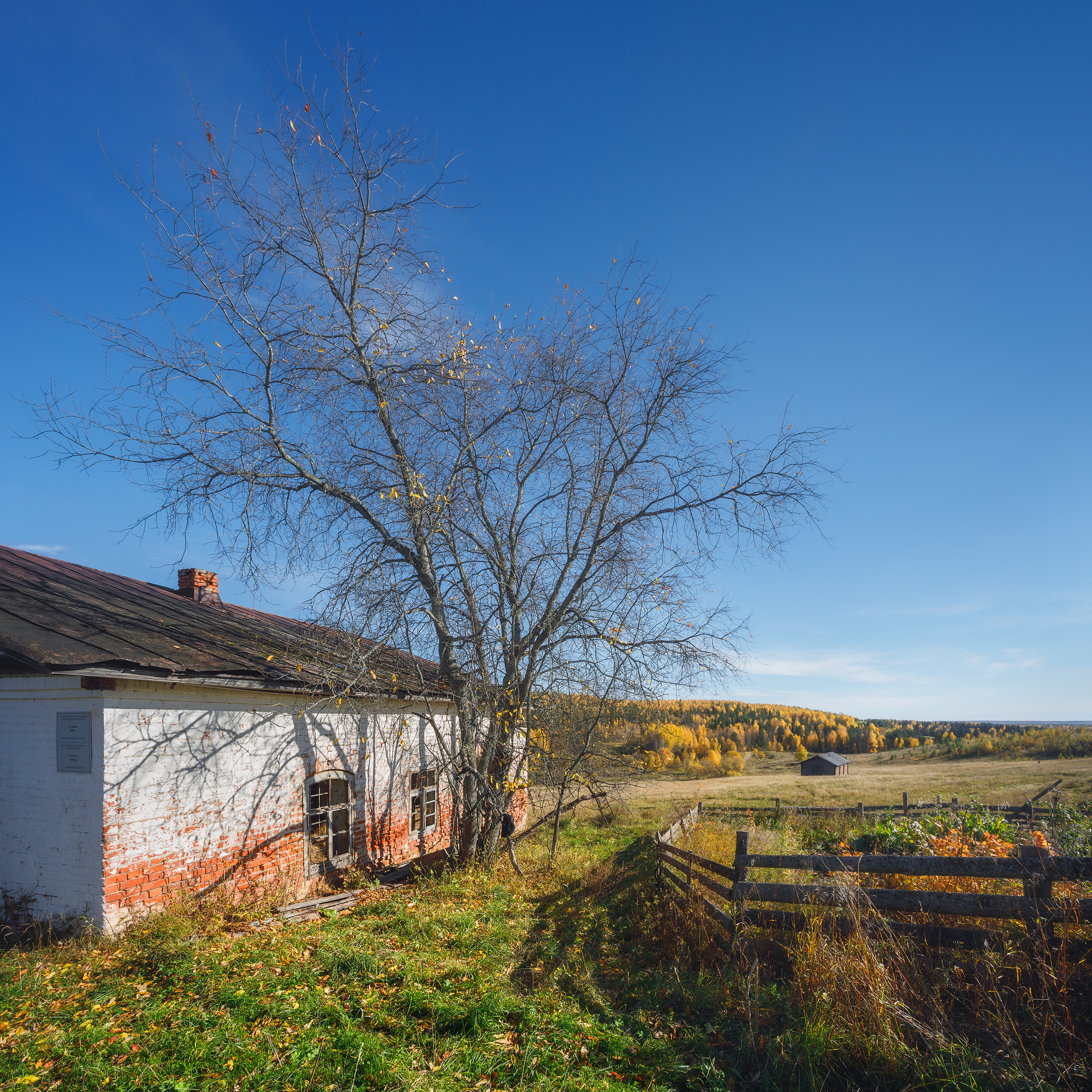 Старая кузница. Осень в деревне. Опавшая листва на одиноком дереве. Желтые листья в лесу.