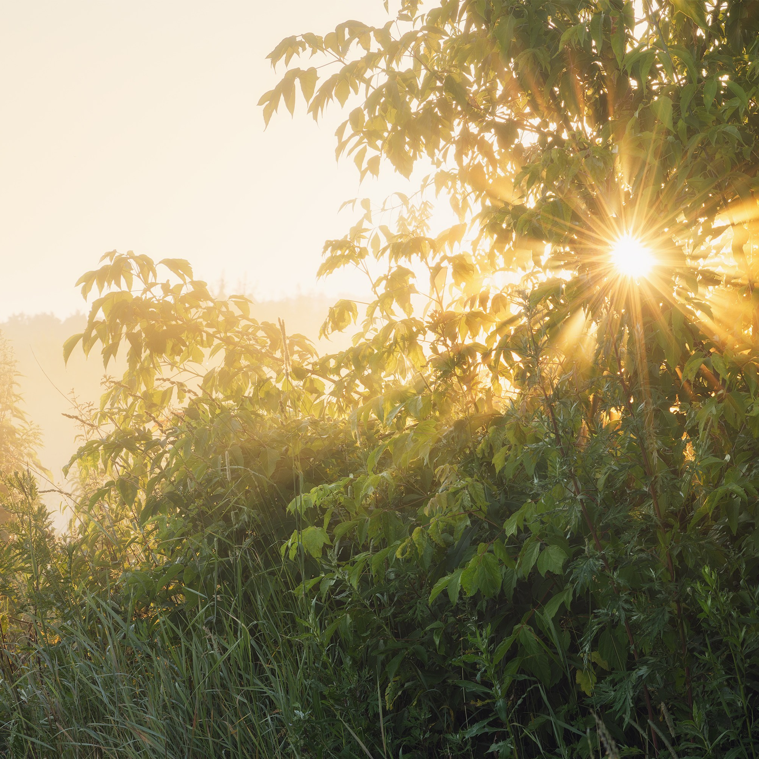 Interior photography. Gallery photography. Photography for interior. Photography for interior design. Landscape on the wall.