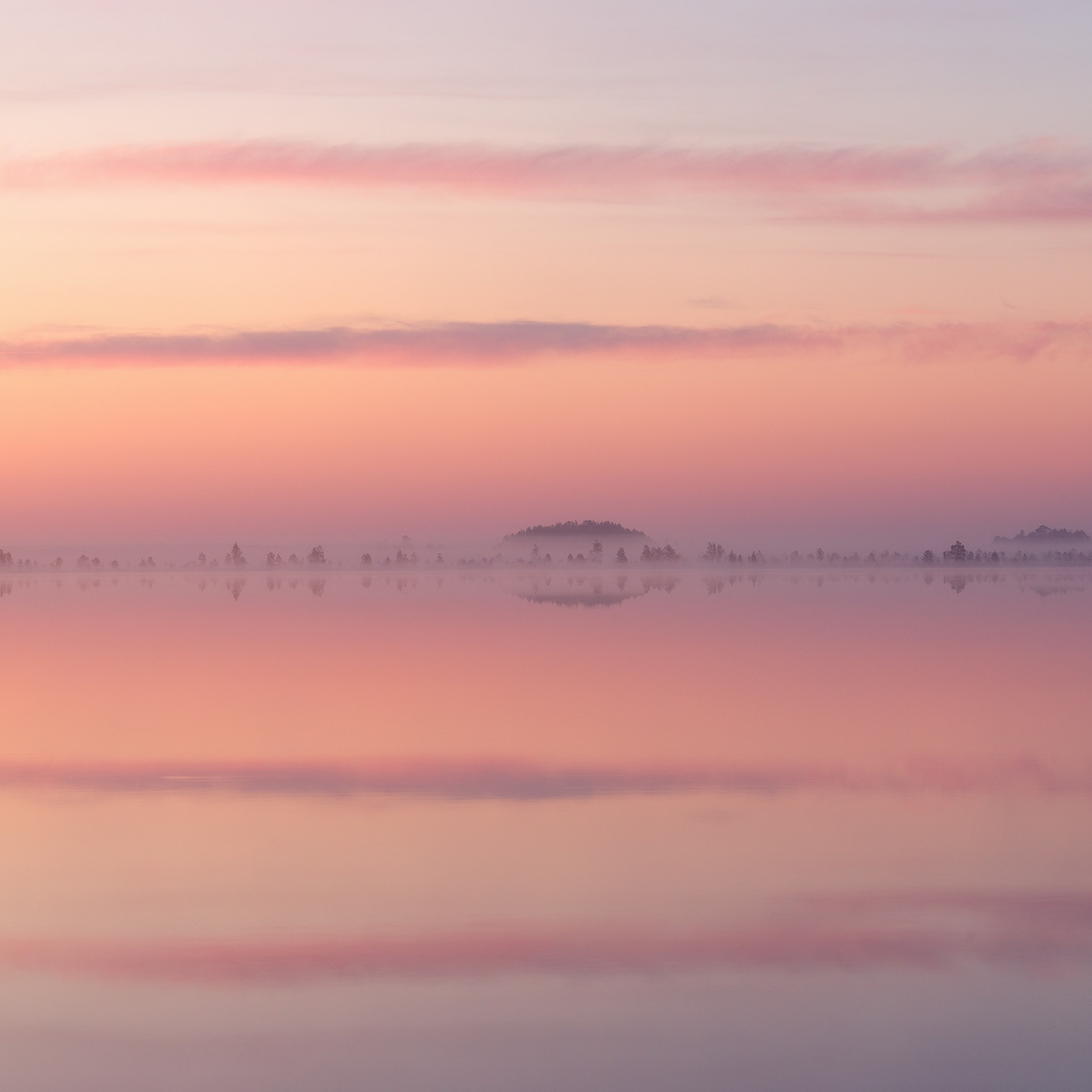 Interior photography. Gallery photography. Photography for interior. Photography for interior design. Landscape on the wall.