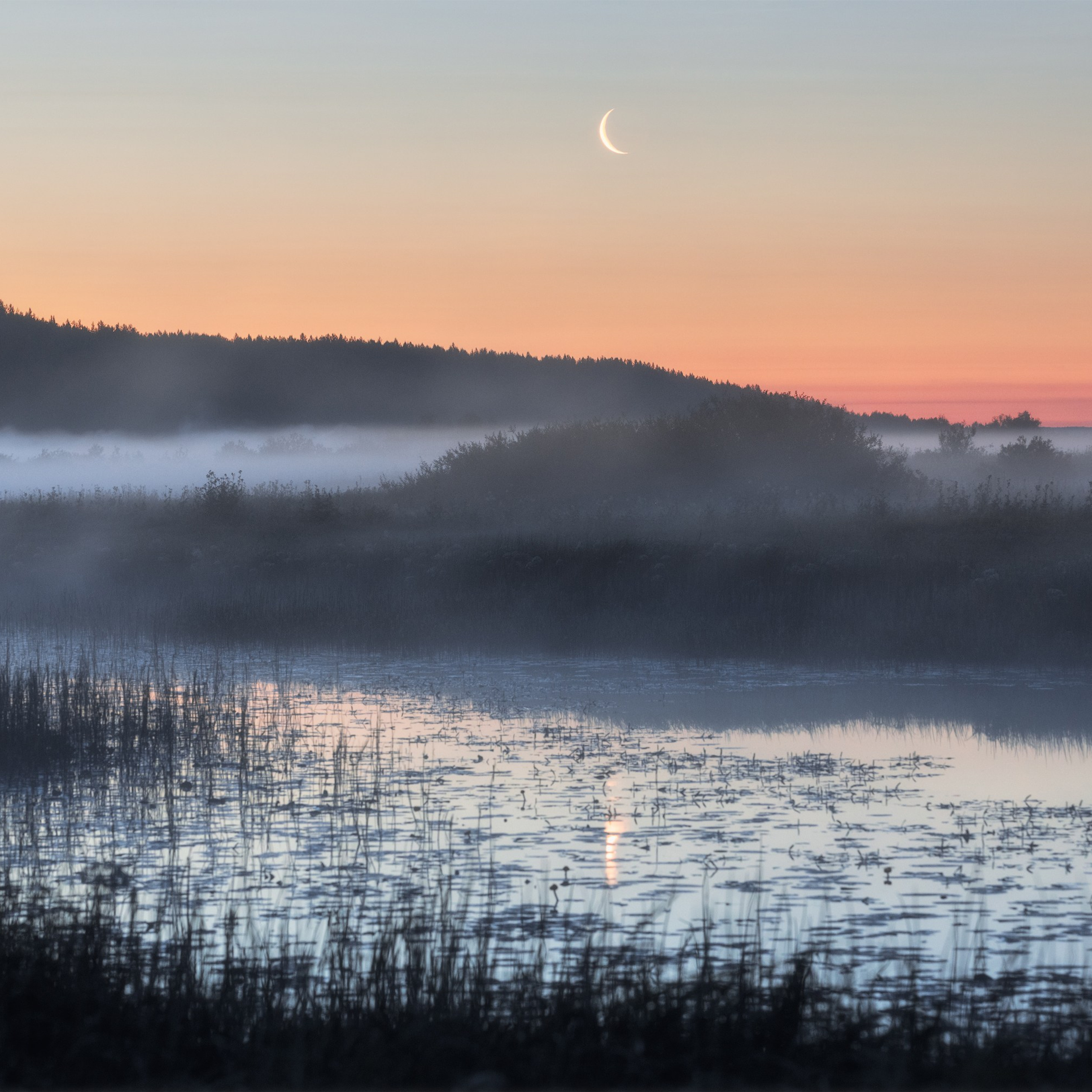 Moonrise over a foggy field. Summer fog and moon. Crescent moon over a foggy meadow. Moon reflection on the surface of a lake.