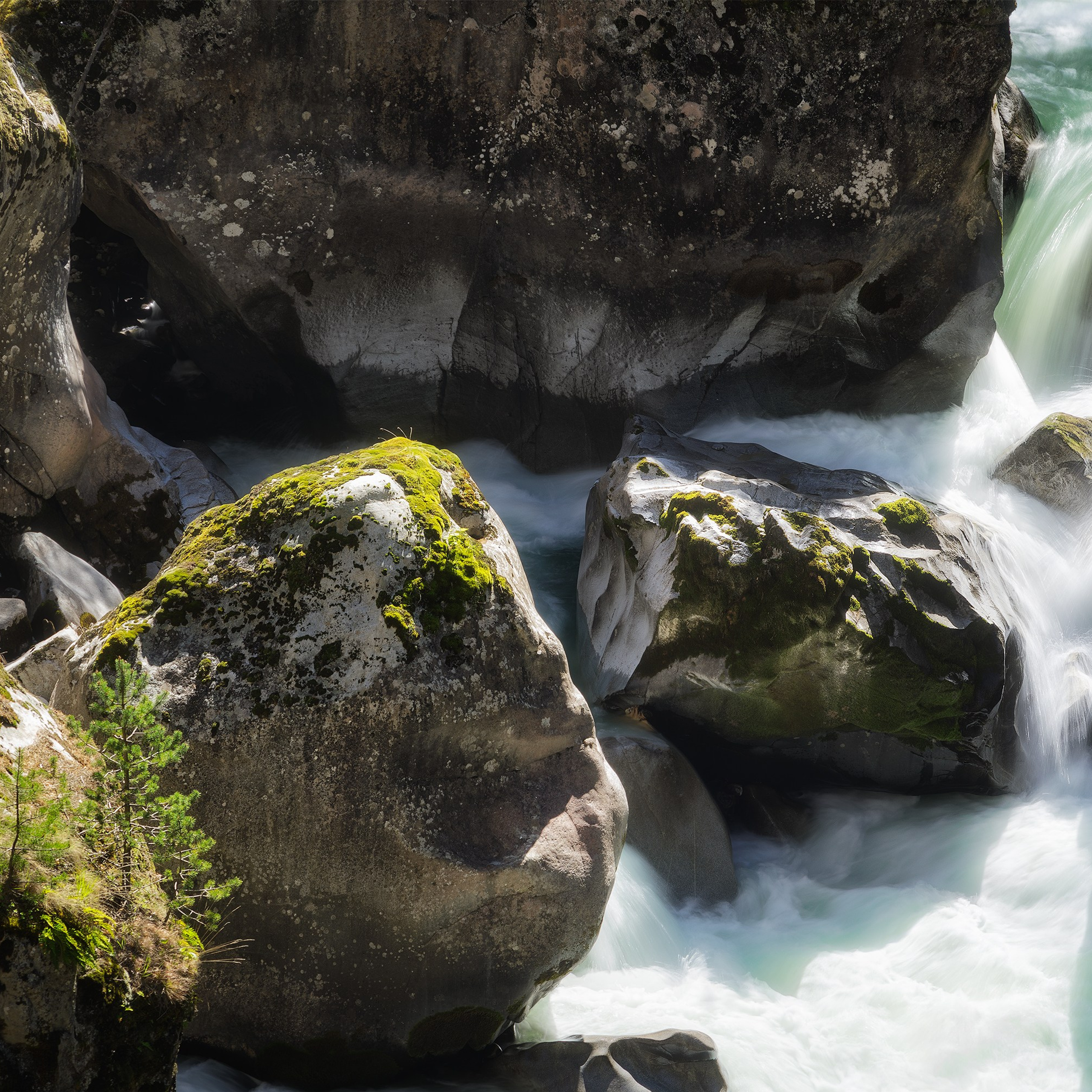 Interior photography. Gallery photography. Photography for interior. Photography for interior design. Landscape on the wall.