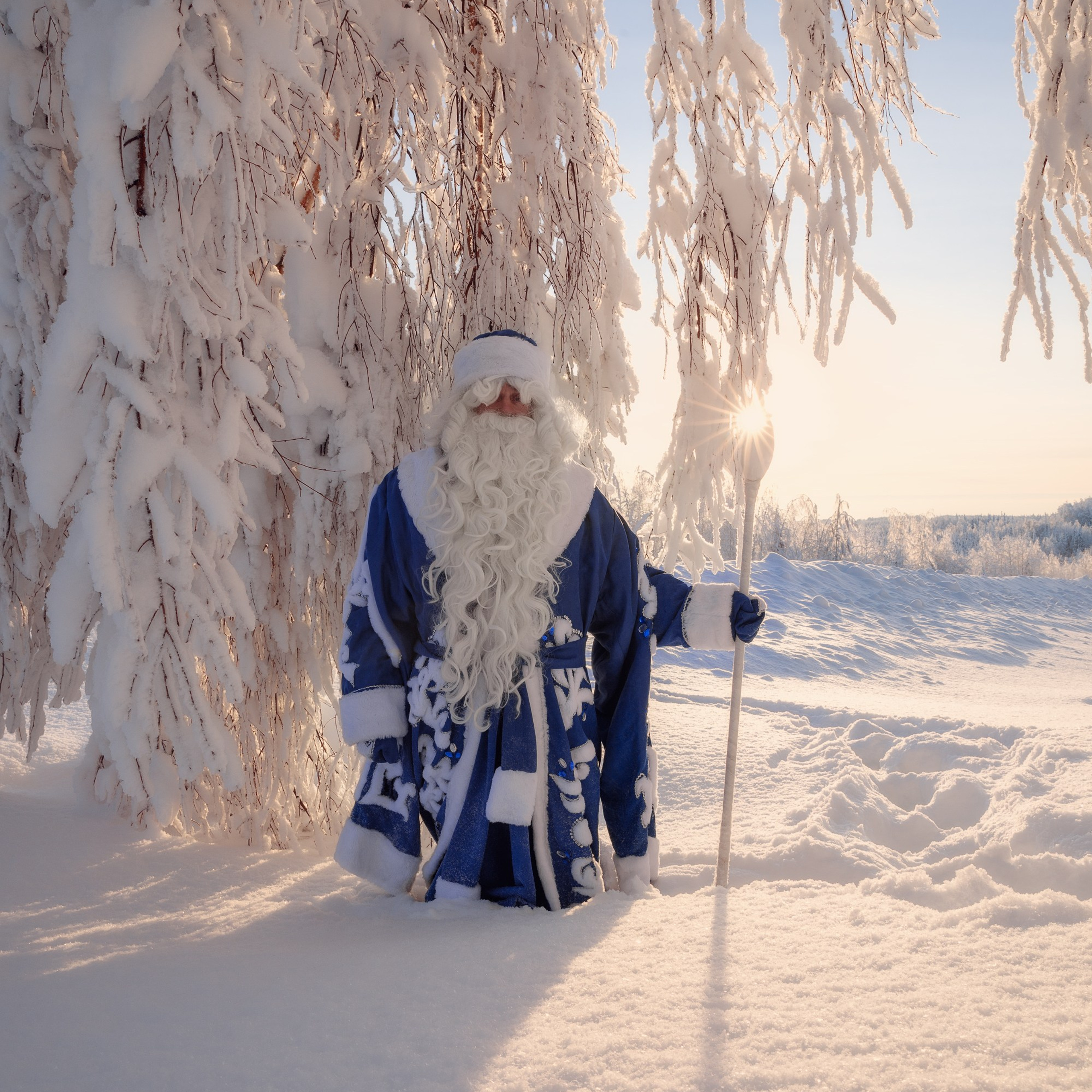 Santa Claus in the winter forest.