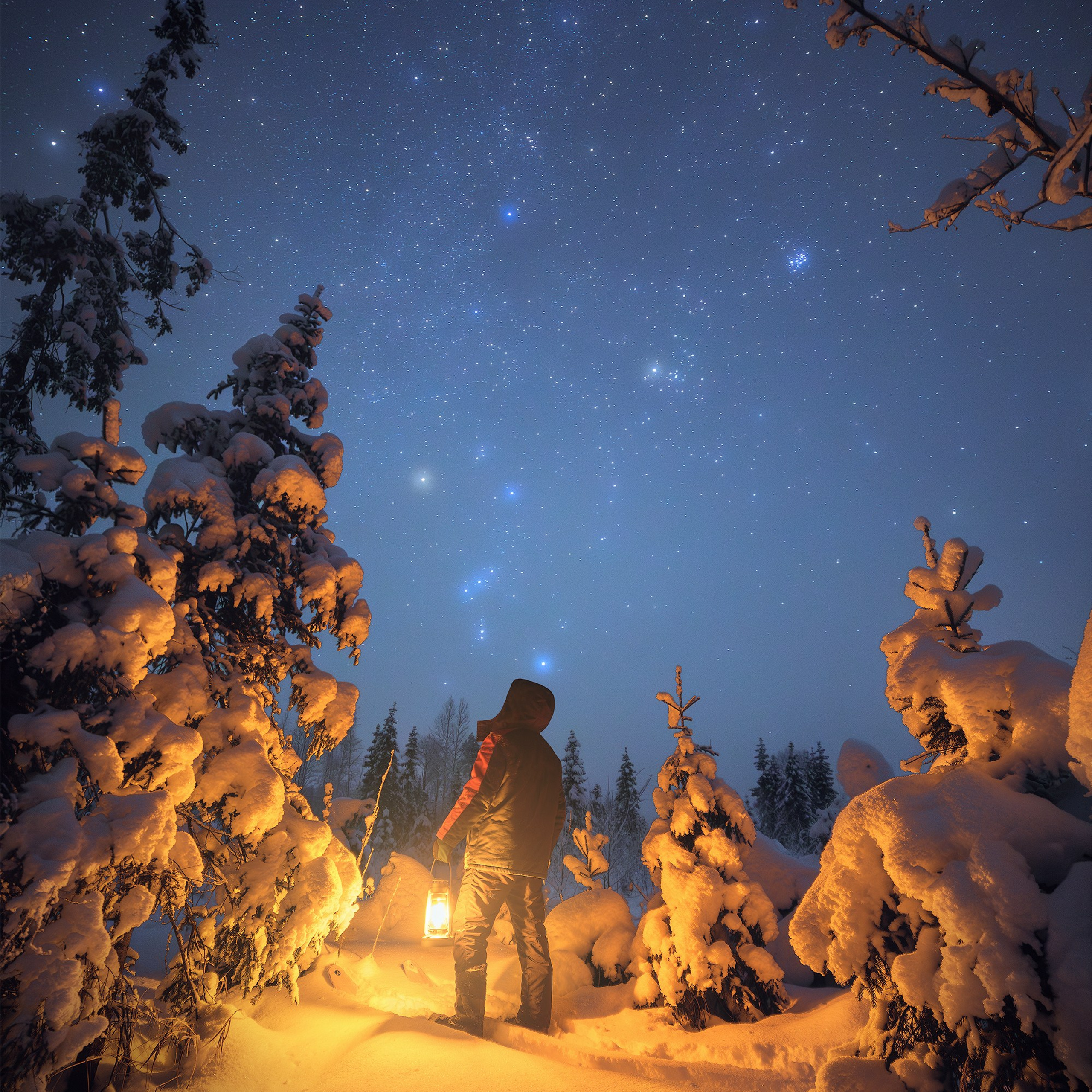Звездная ночь в лесу. Человек с лампой в лесу. Зимой в лесу с лампой. Под звёздным зимним небом.