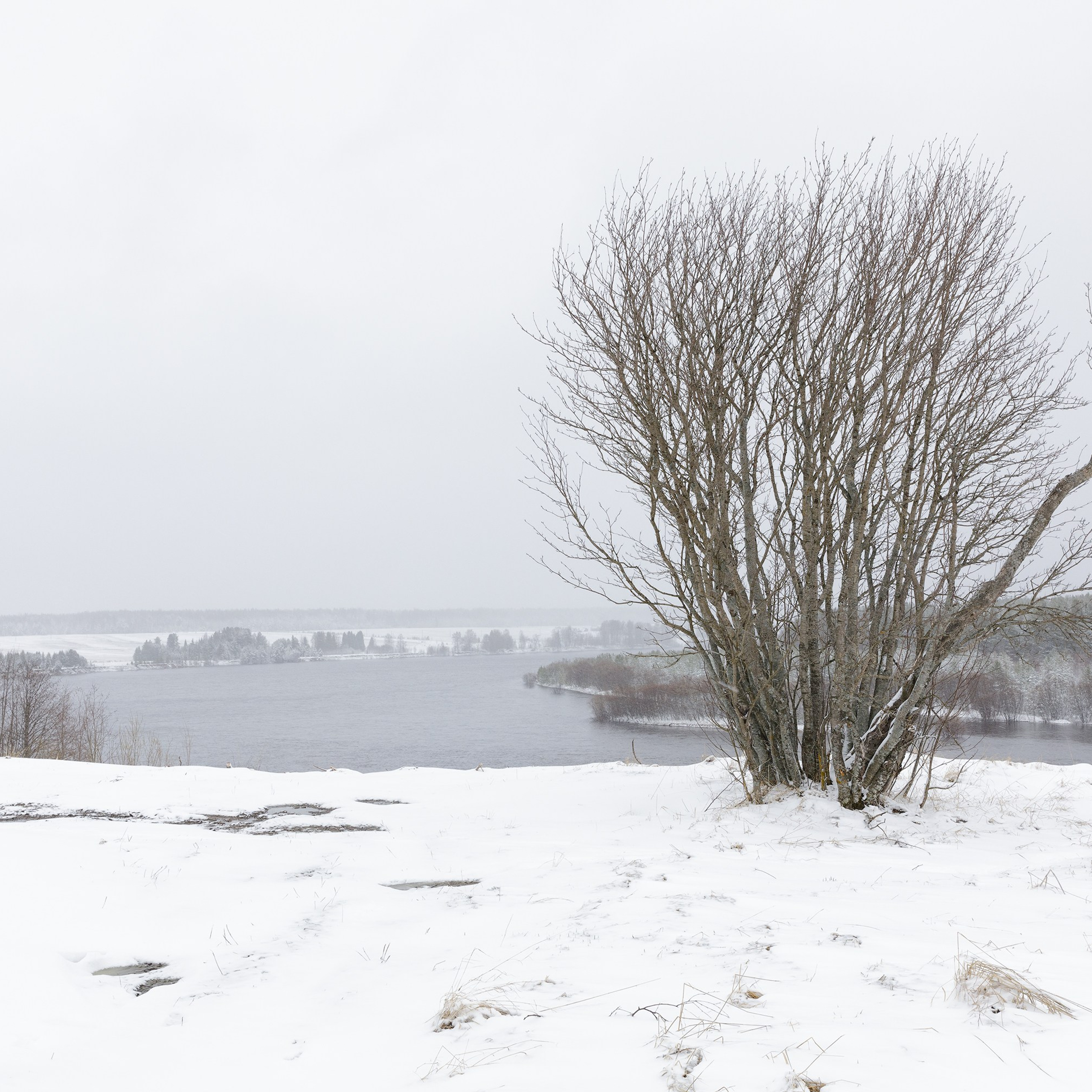 Interior photography. Gallery photography. Photography for interior. Photography for interior design. Landscape on the wall.