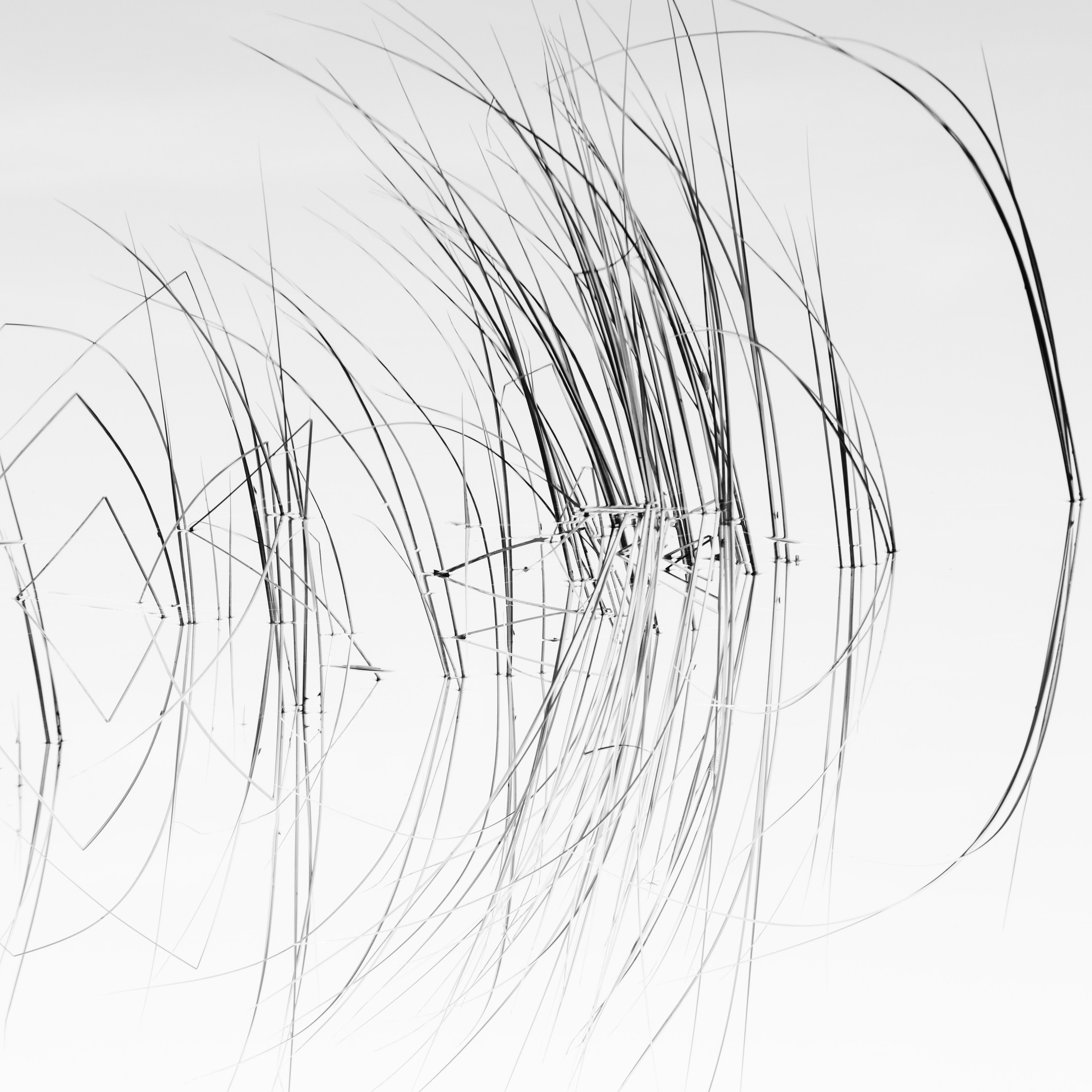 Interior photography. Gallery photography. Photography for interior. Photography for interior design. Landscape on the wall.