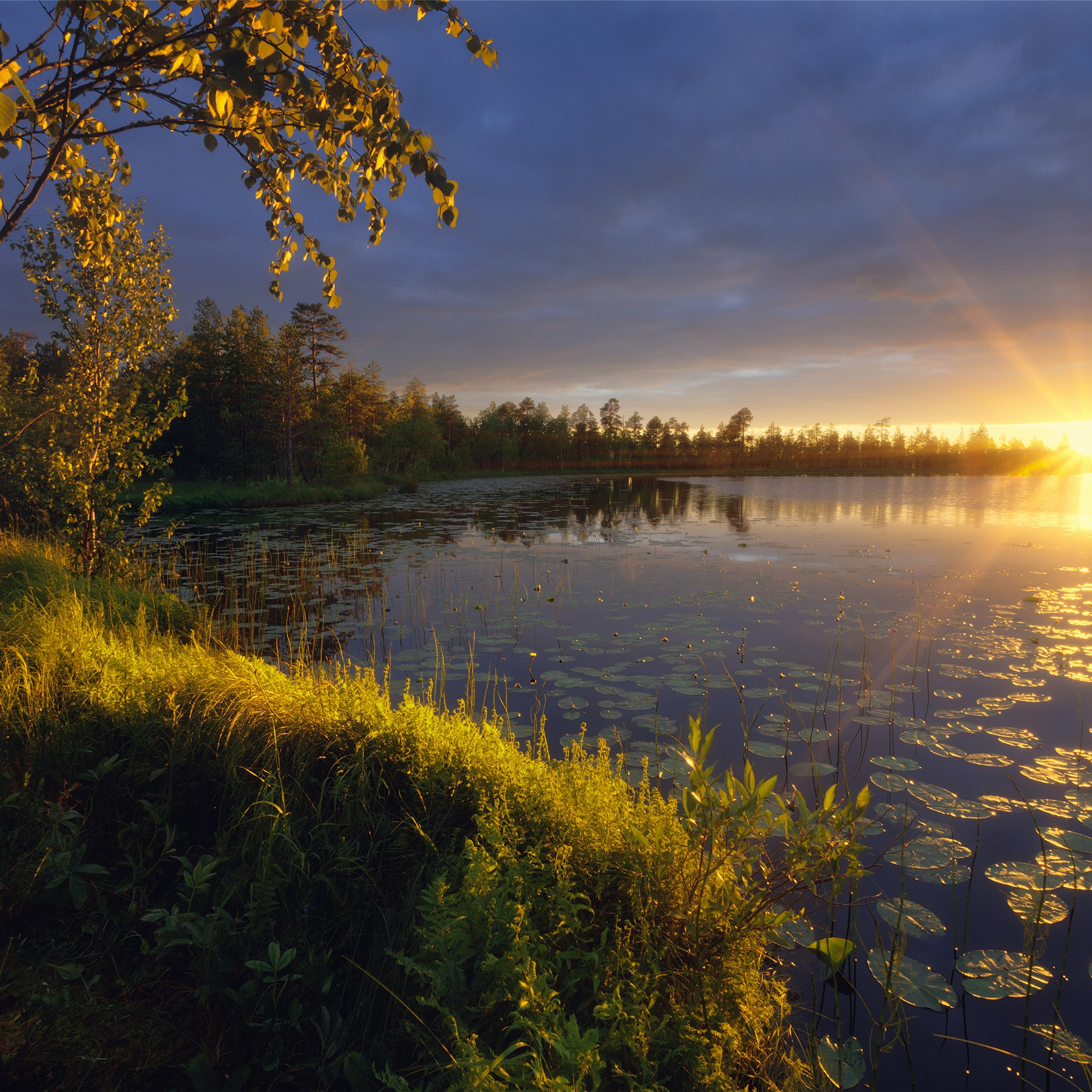 Summer landscapes. Professional landscape and advertising photographer Chalanov Ivan
