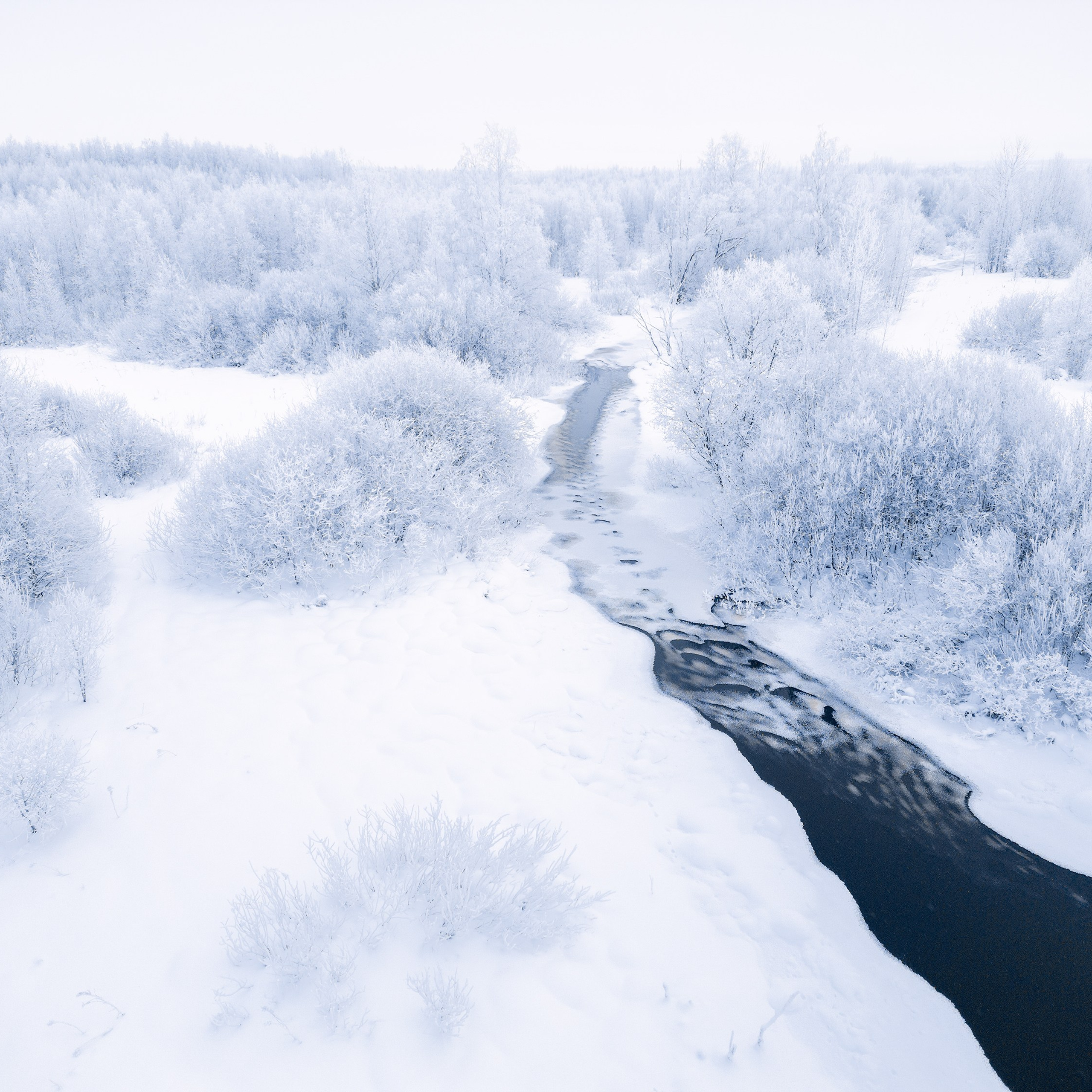 Незамерзающая речка. Природа под инеем. Заледеневшие деревья.