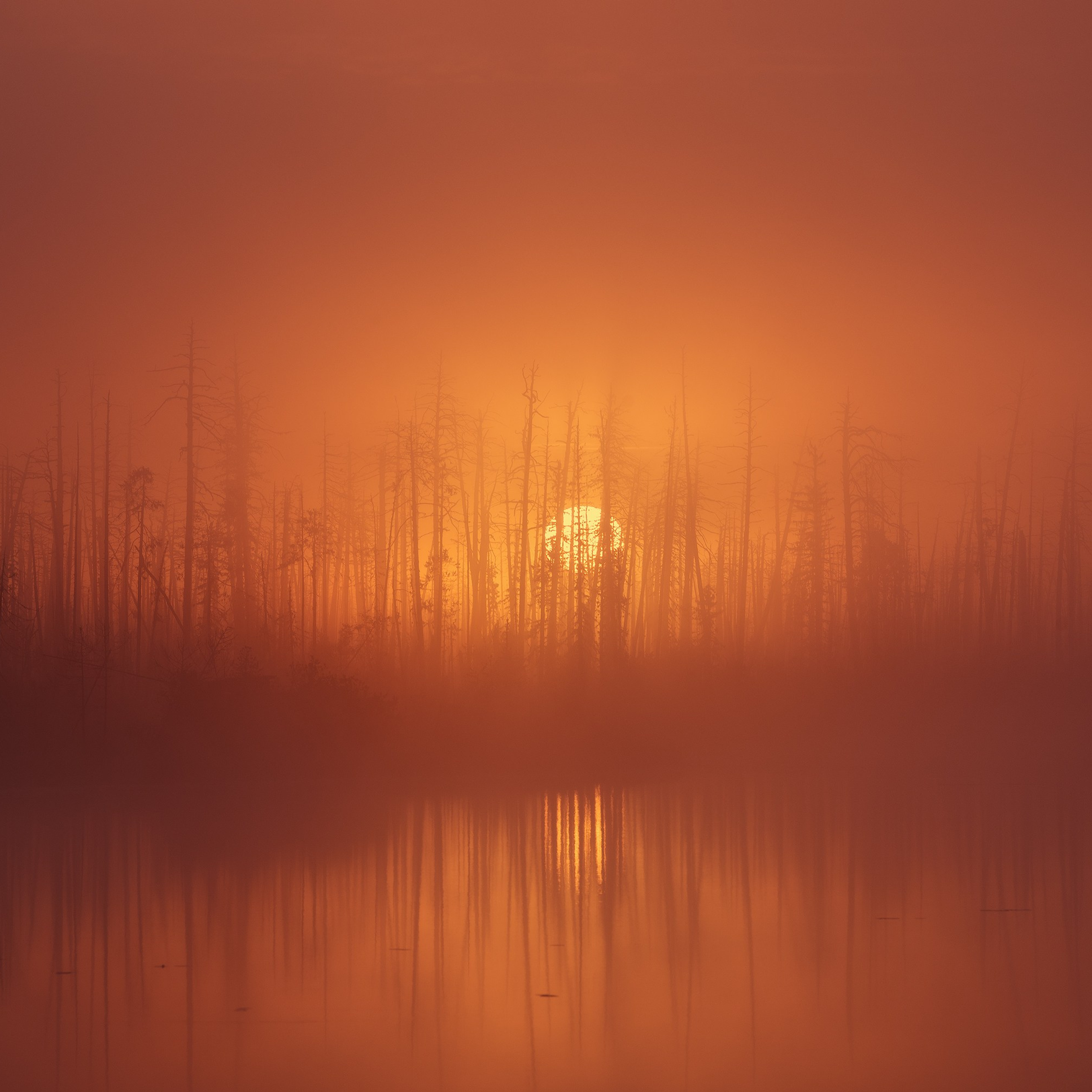 Interior photography. Gallery photography. Photography for interior. Photography for interior design. Landscape on the wall.