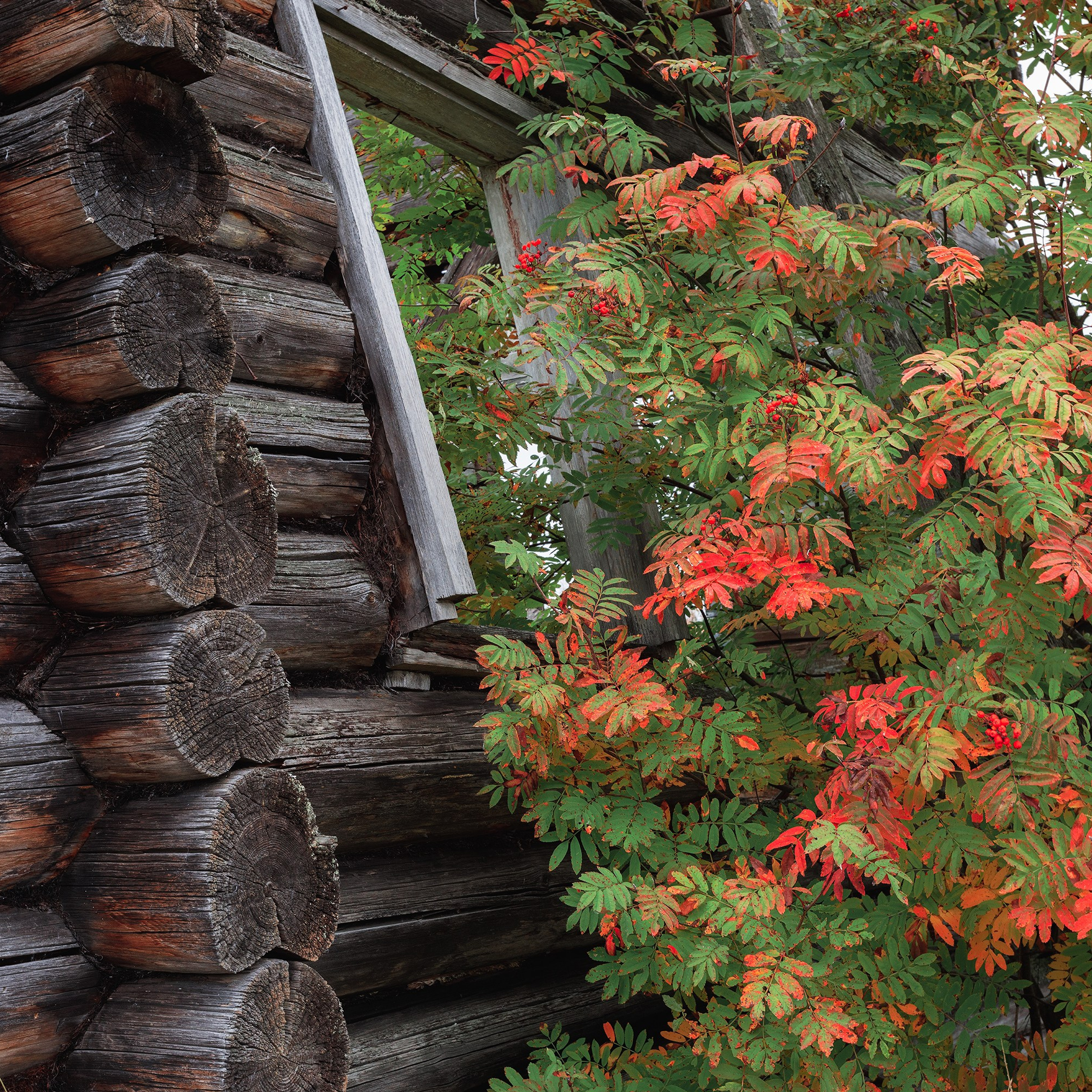 Interior photography. Gallery photography. Photography for interior. Photography for interior design. Landscape on the wall.