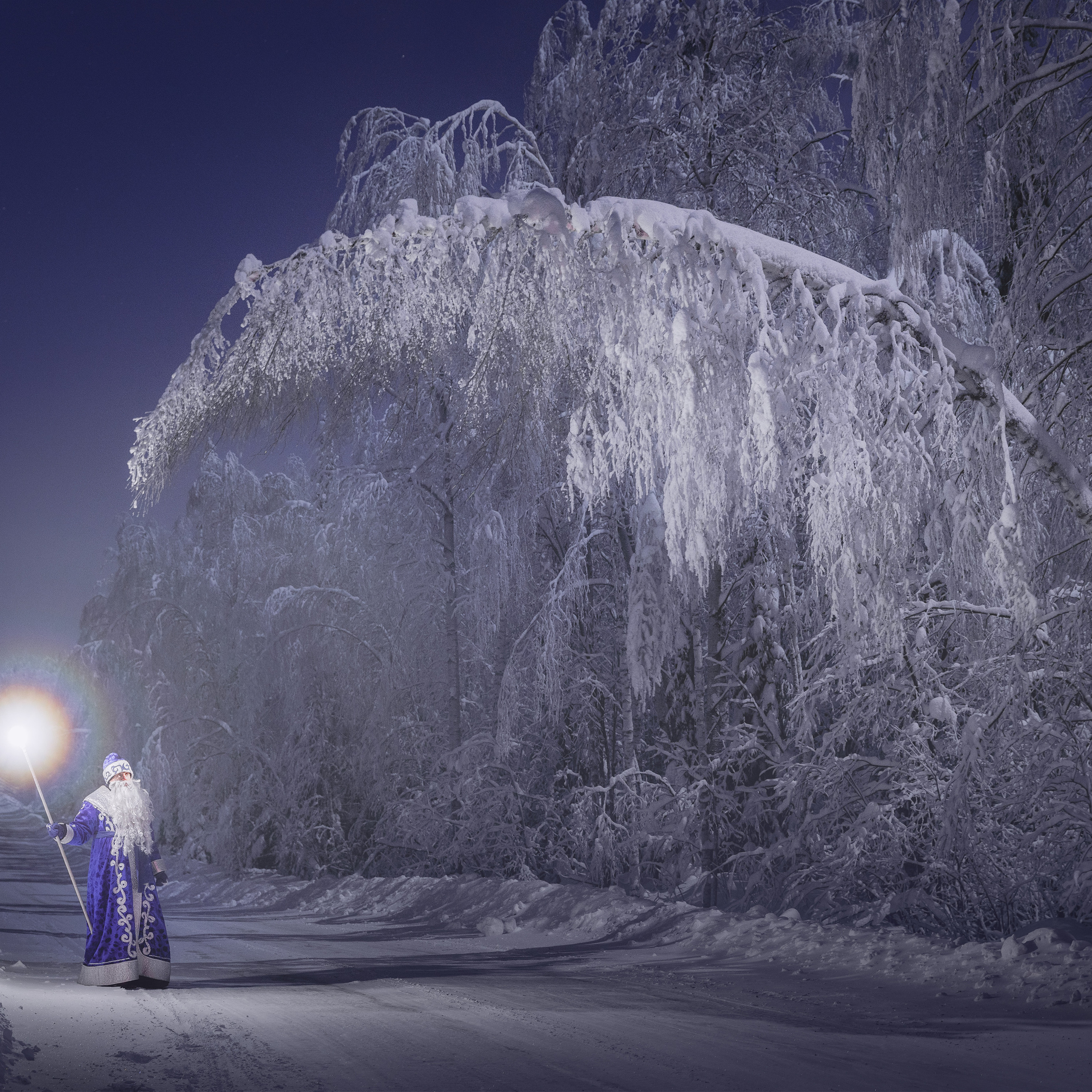 Дедушка мороз в снежном лесу ночью. Волшебный мир Дедушки Мороза.