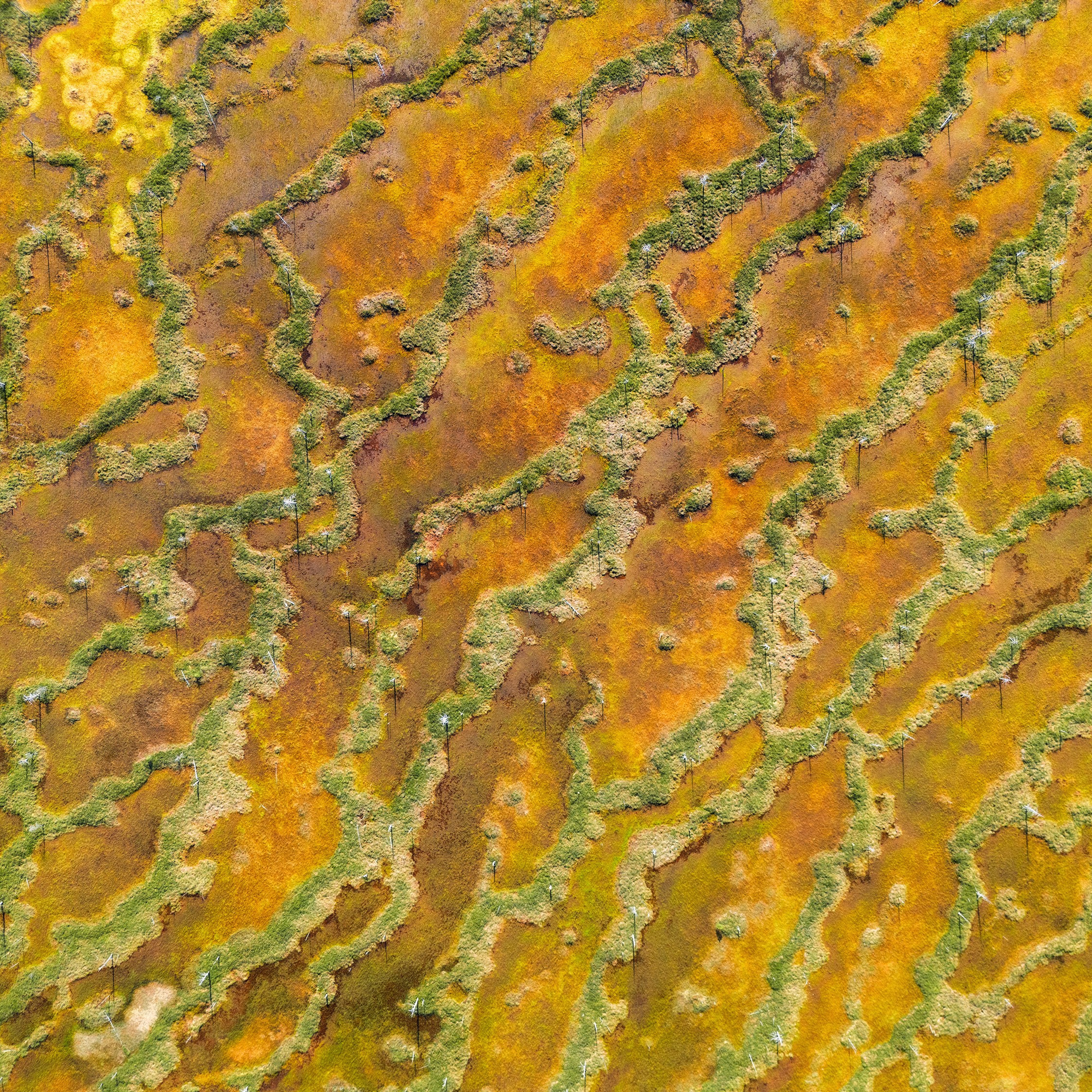 Interior photography. Gallery photography. Photography for interior. Photography for interior design. Landscape on the wall.