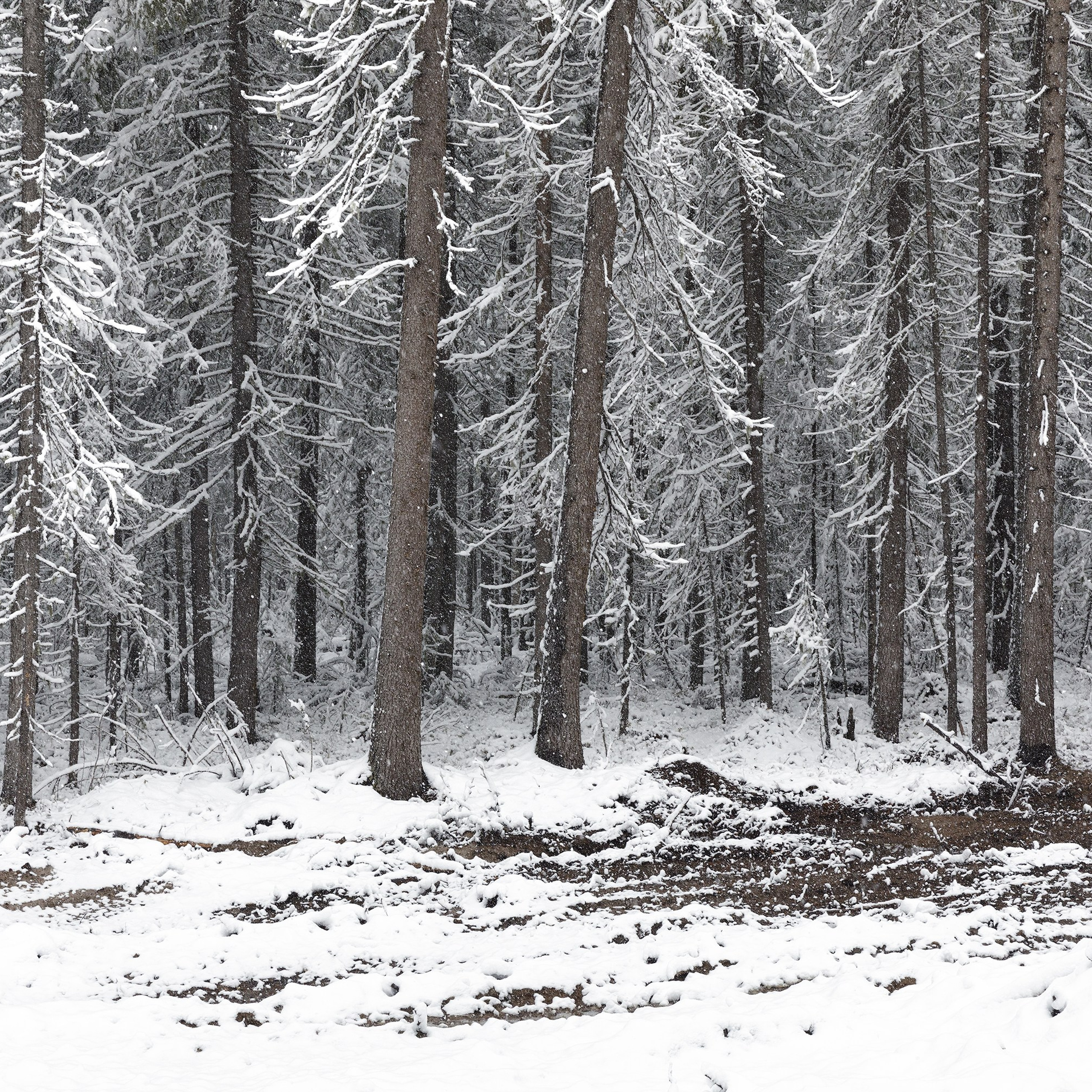 Interior photography. Gallery photography. Photography for interior. Photography for interior design. Landscape on the wall.